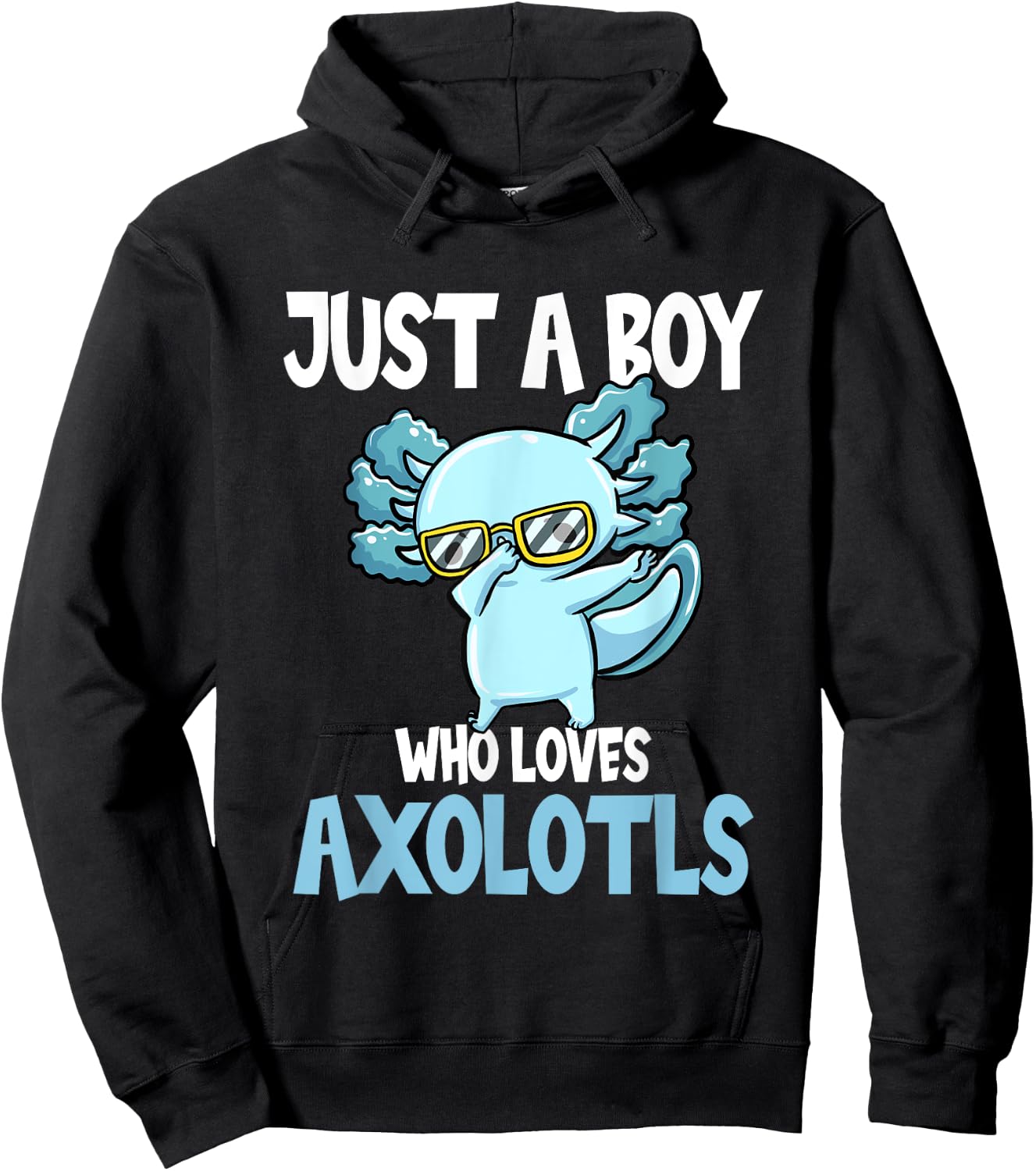 Mexican Walking Fish Just A Boy Who Loves Axolotls Hoodie - Hoodie | Black