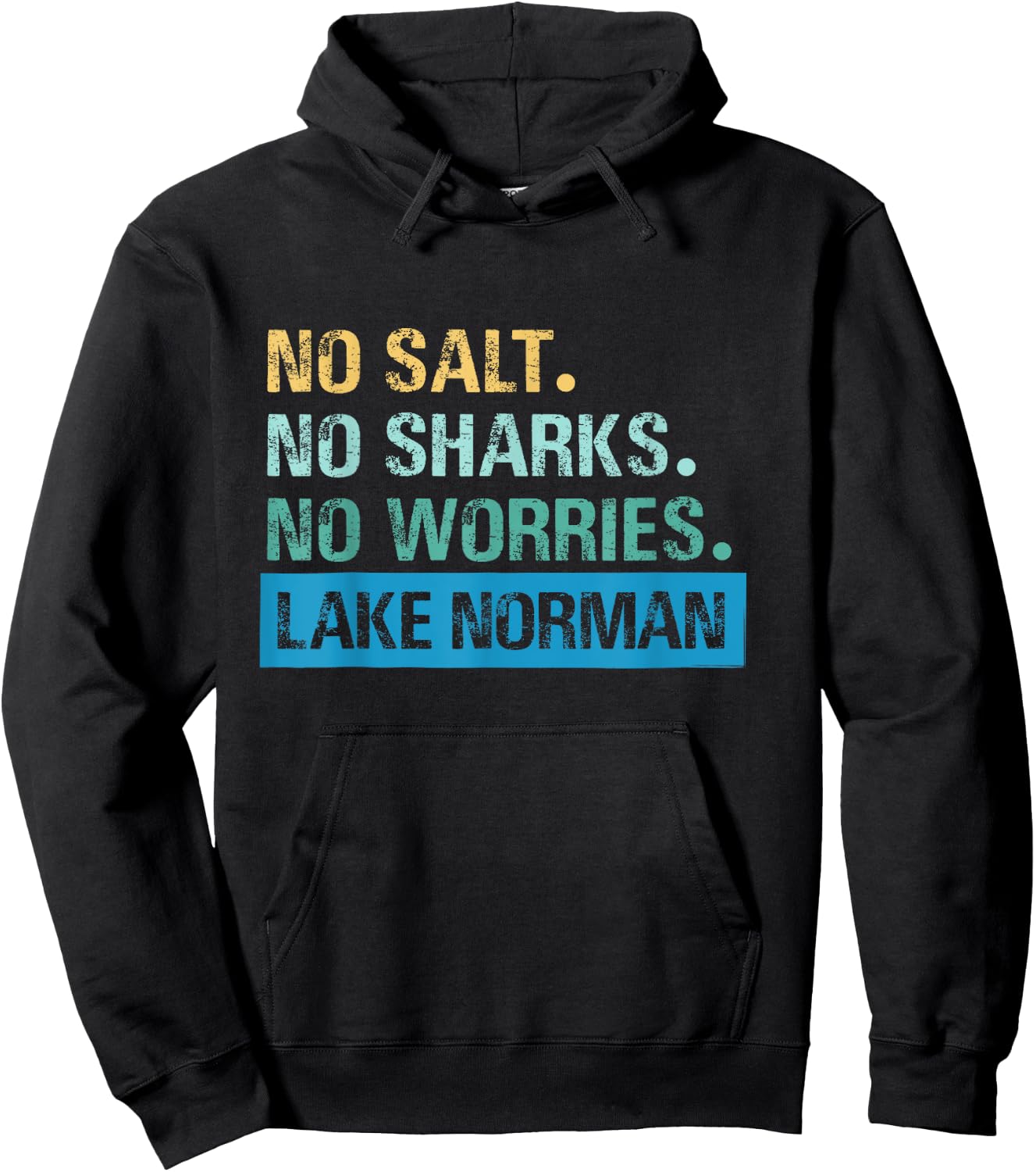 Lake Norman, NC | Vintage Distressed Hoodie - Hoodie | Black