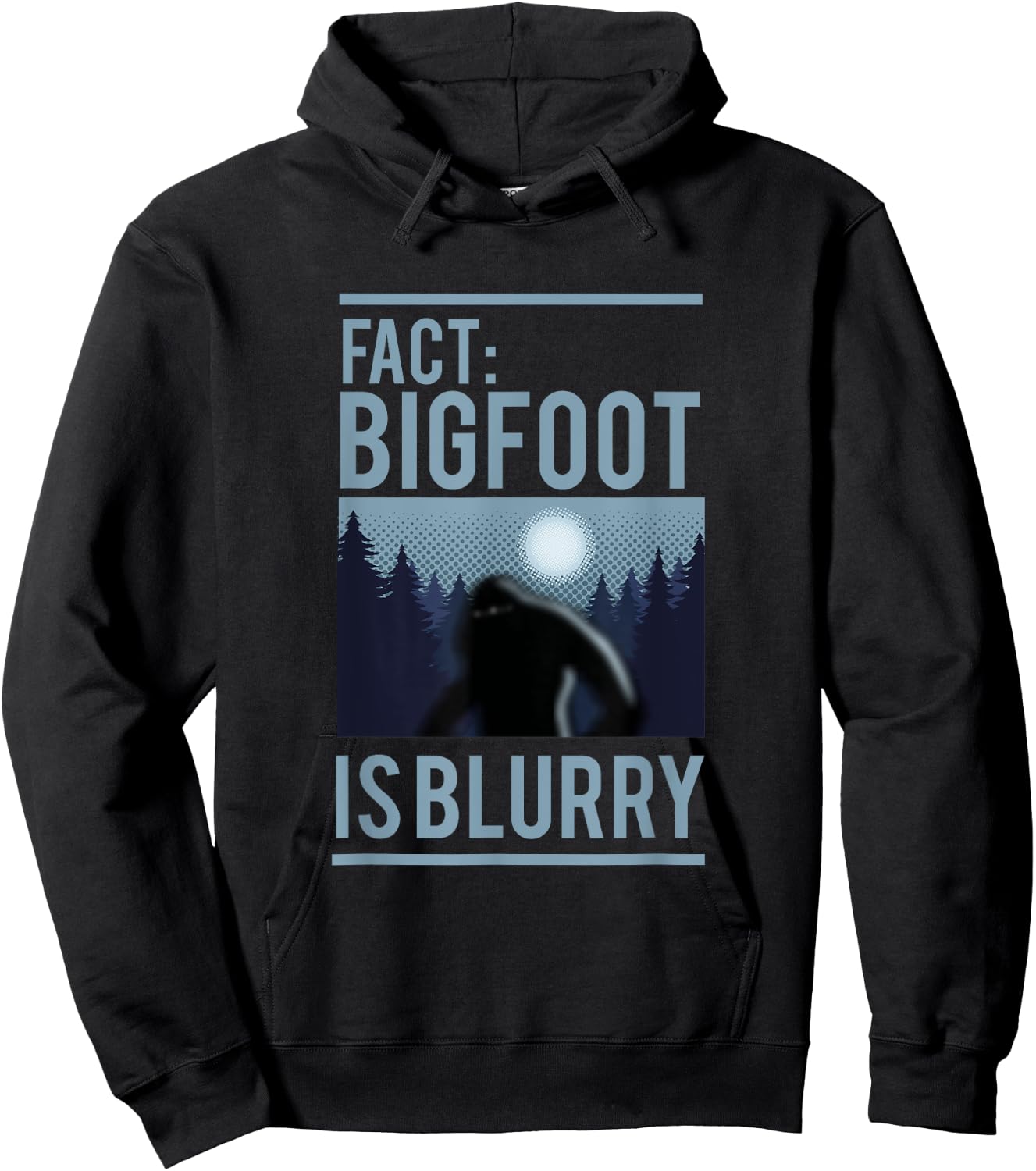 Fact Bigfoot Is Blurry Wilderness Ape Creature Gift Hoodie - Hoodie | Black