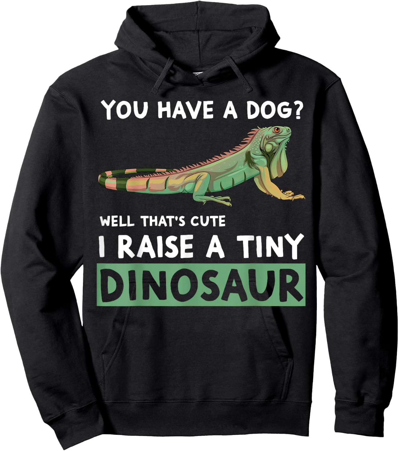 You Have A Dog? I Raise A Tiny Dinosaur Funny Iguana Owner Hoodie - Hoodie | Black