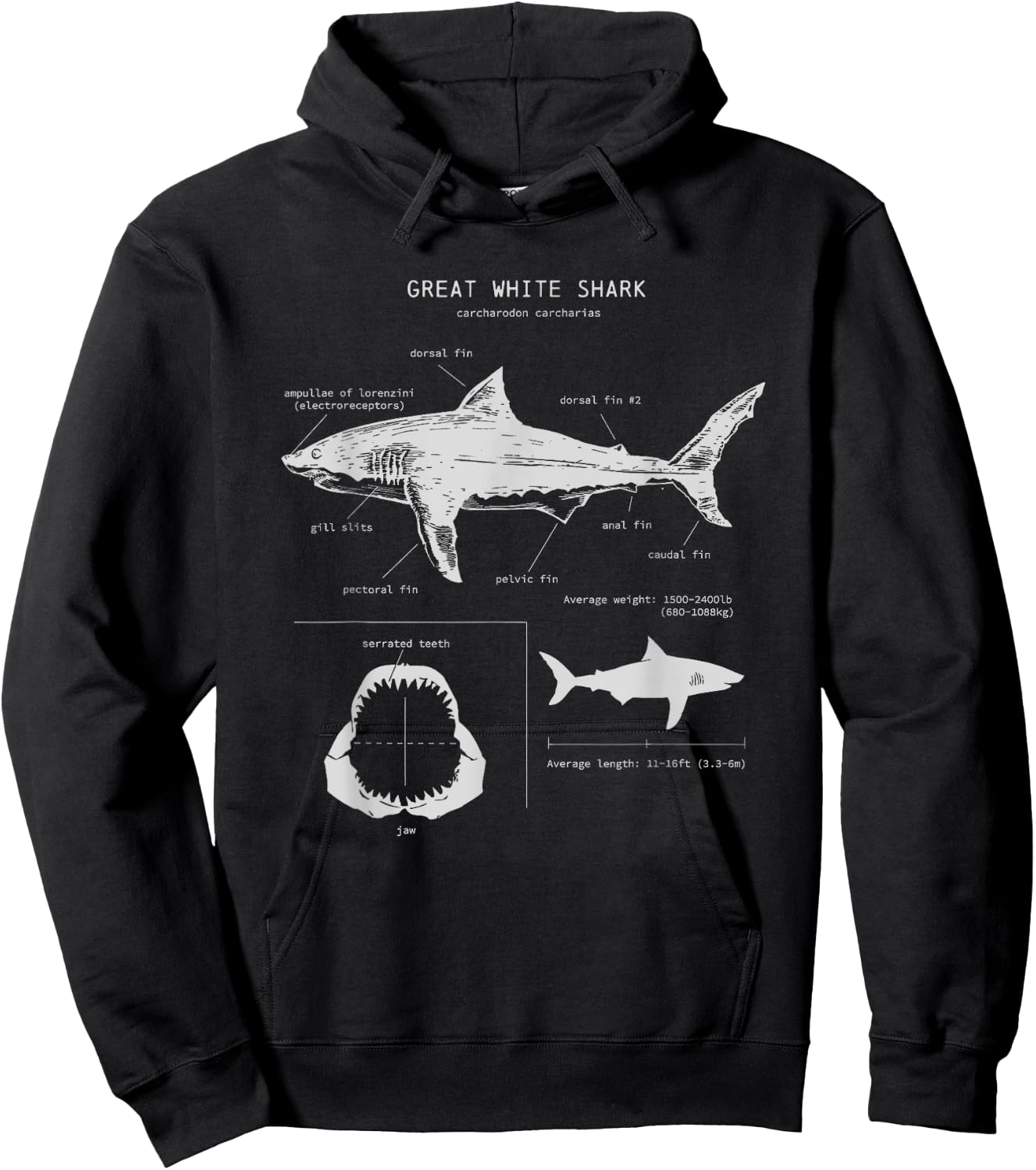 Great White Shark Anatomy , Marine Biologist Hoodie - Hoodie | Black
