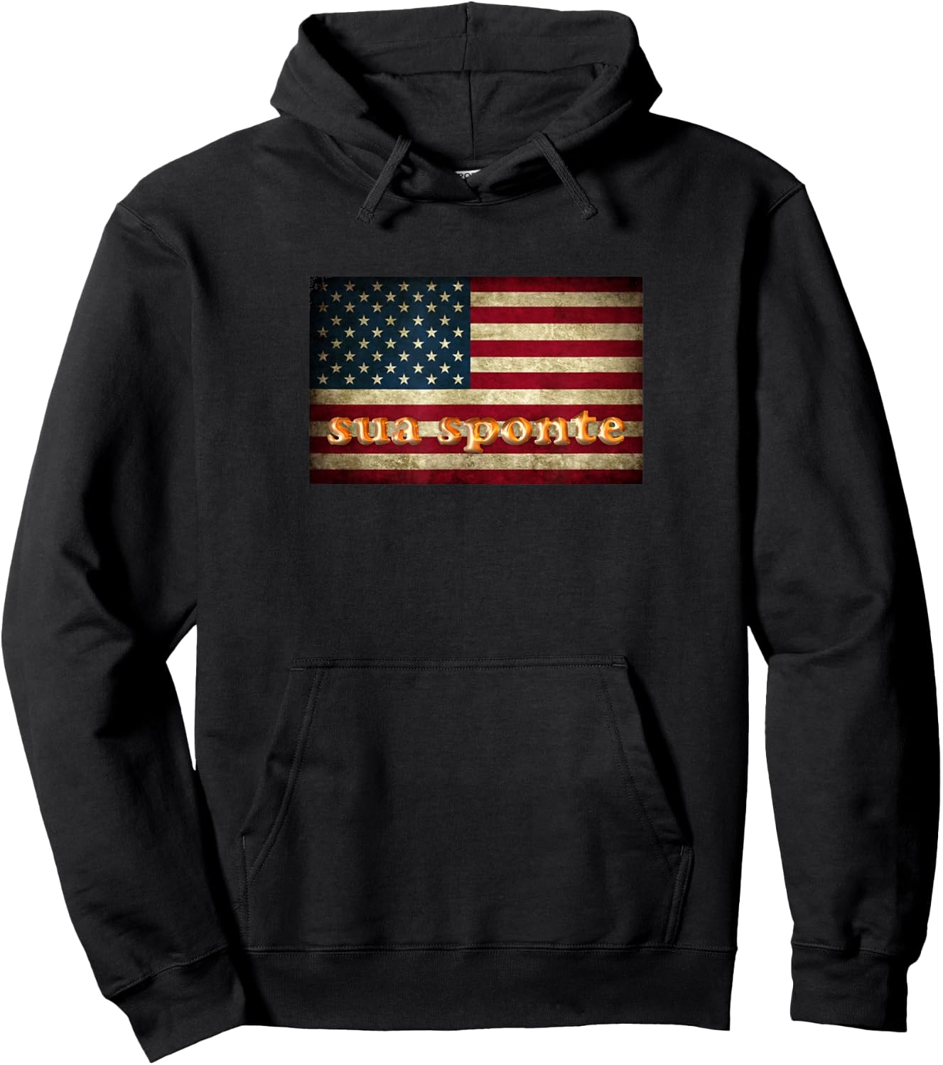 SUA SPONTE American Flag Hoodie - Hoodie | Black