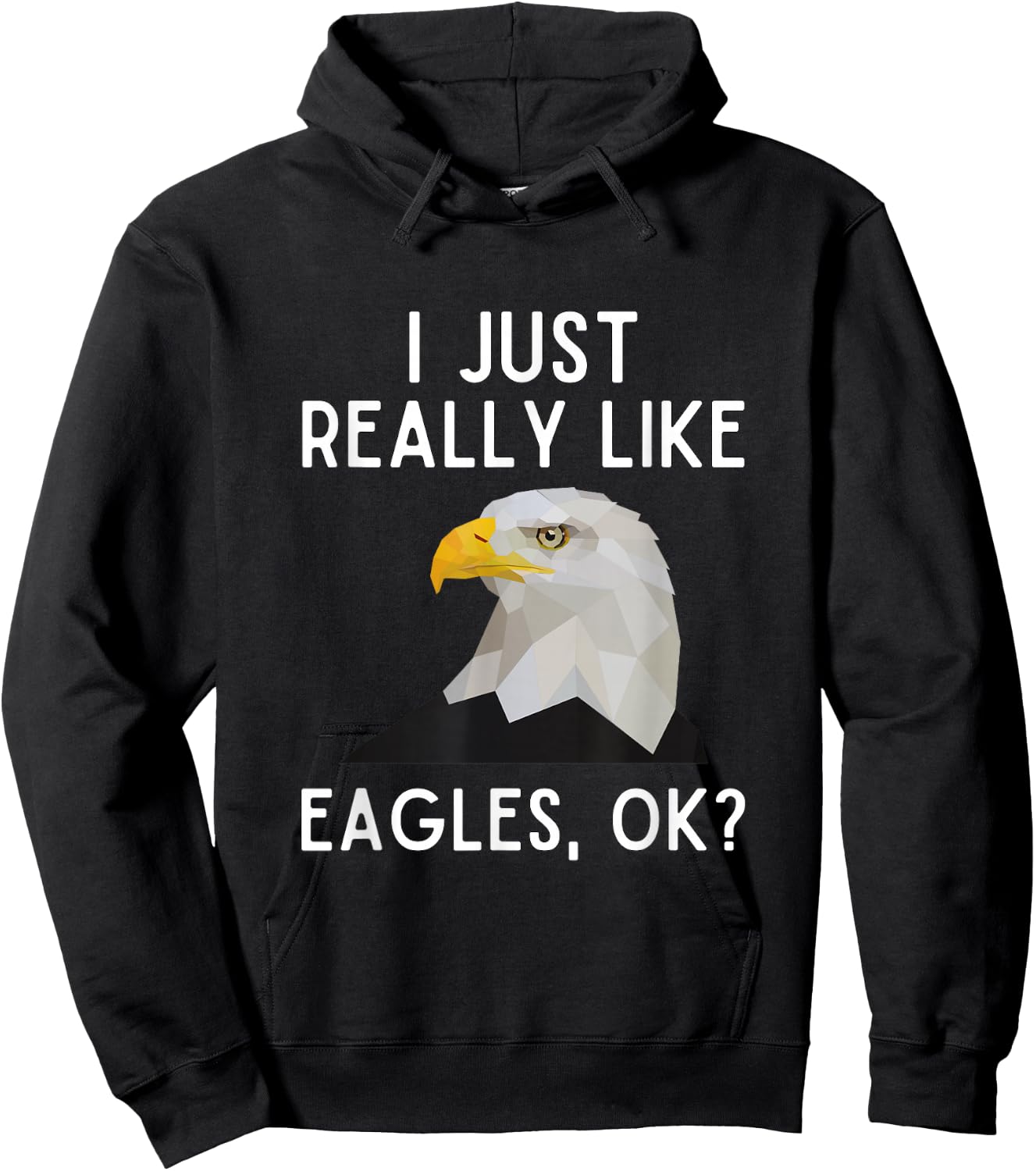 I Just Really Like Eagles Ok Funny Eagle Lover Humor Hoodie - Hoodie | Black
