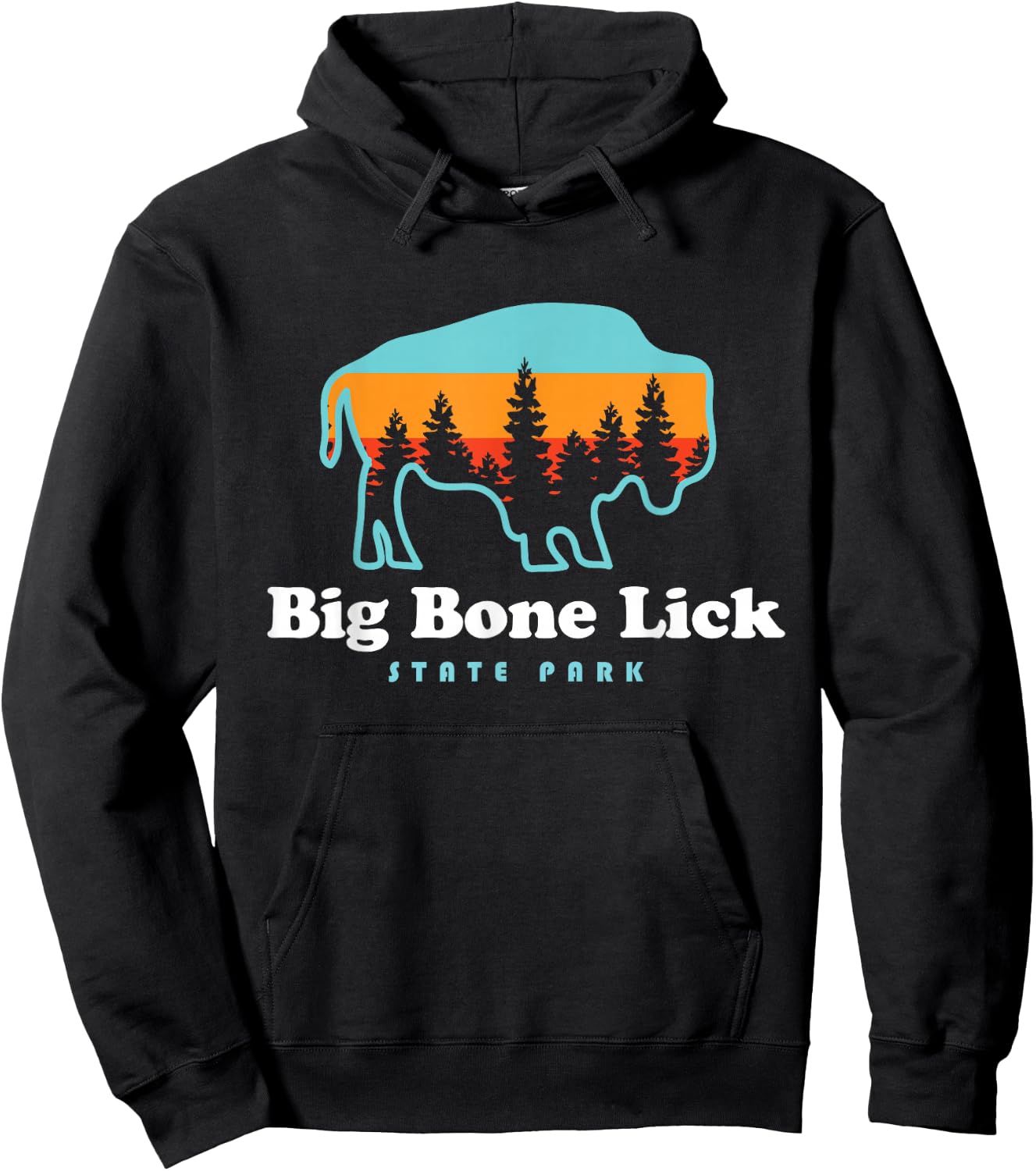 Big Bone Lick State Park Kentucky Bison Fossils Hoodie - Hoodie | Black