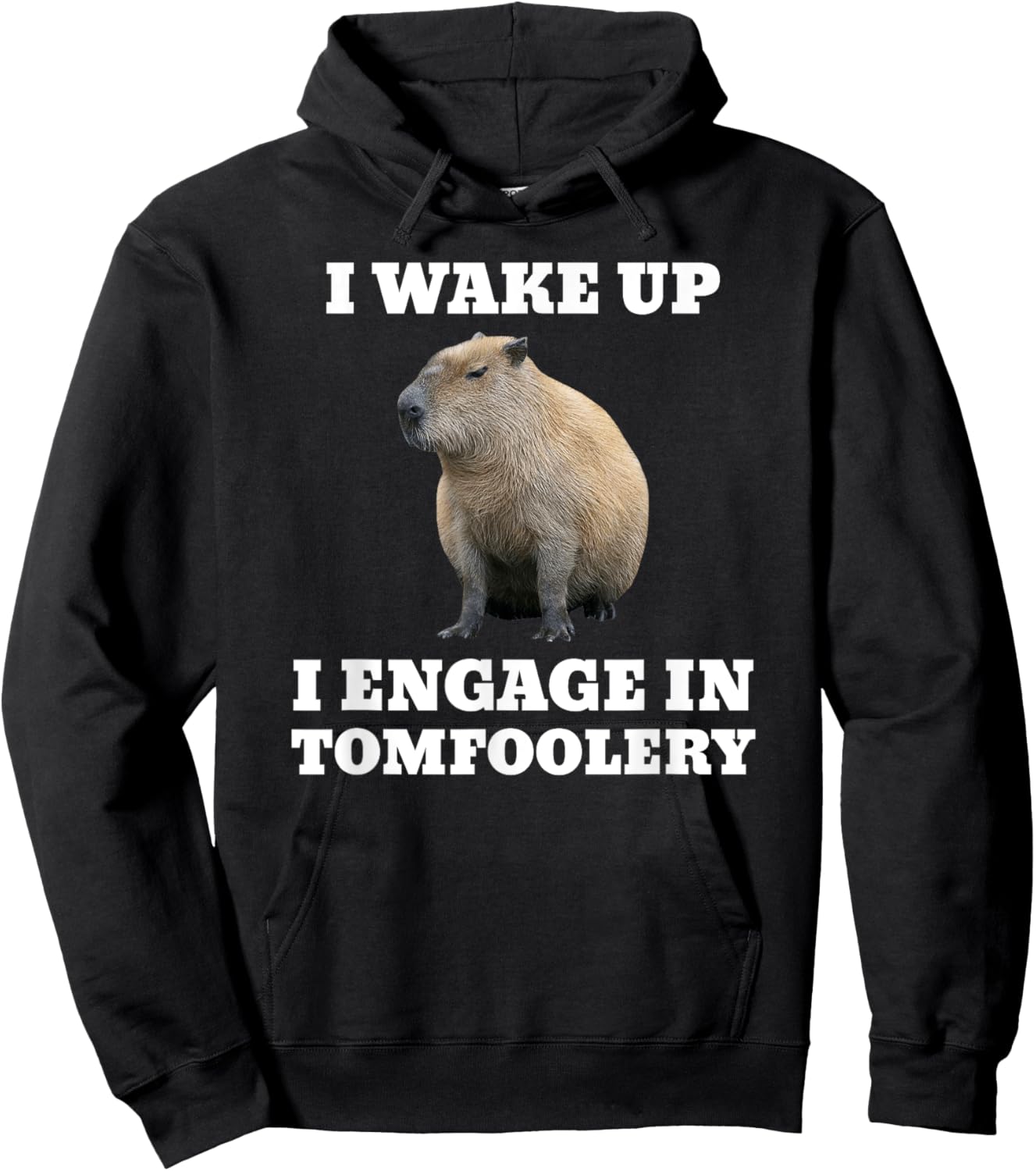 I Wake Up I Engage In Tomfoolery Meme Capybara Hoodie - Hoodie | Black