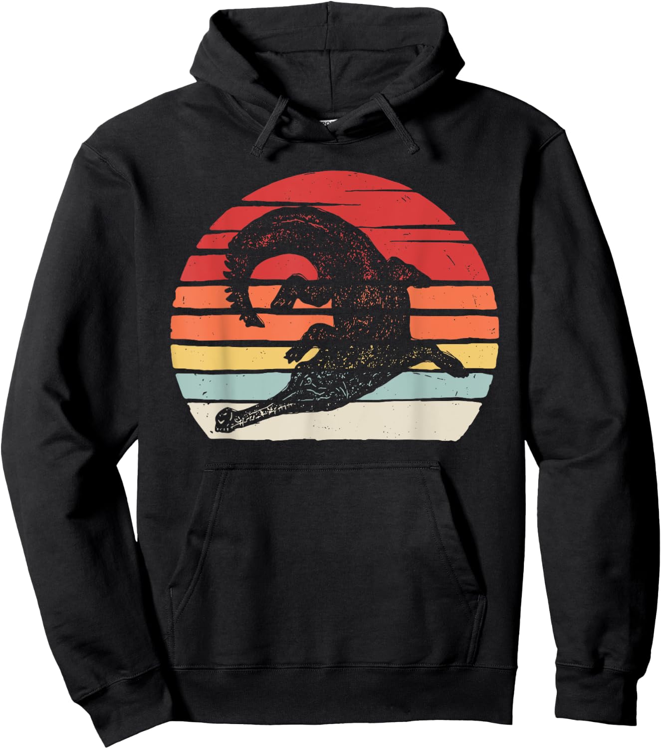 Catch Some Rays Vintage Retro Gharial Gavial Fish-Eating Crocodile Hoodie - Hoodie | Black