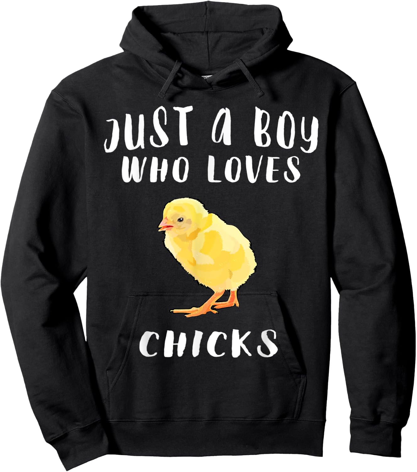 Im Just A Boy Who Loves Chick Farm Animal Lover Hoodie - Hoodie | Black