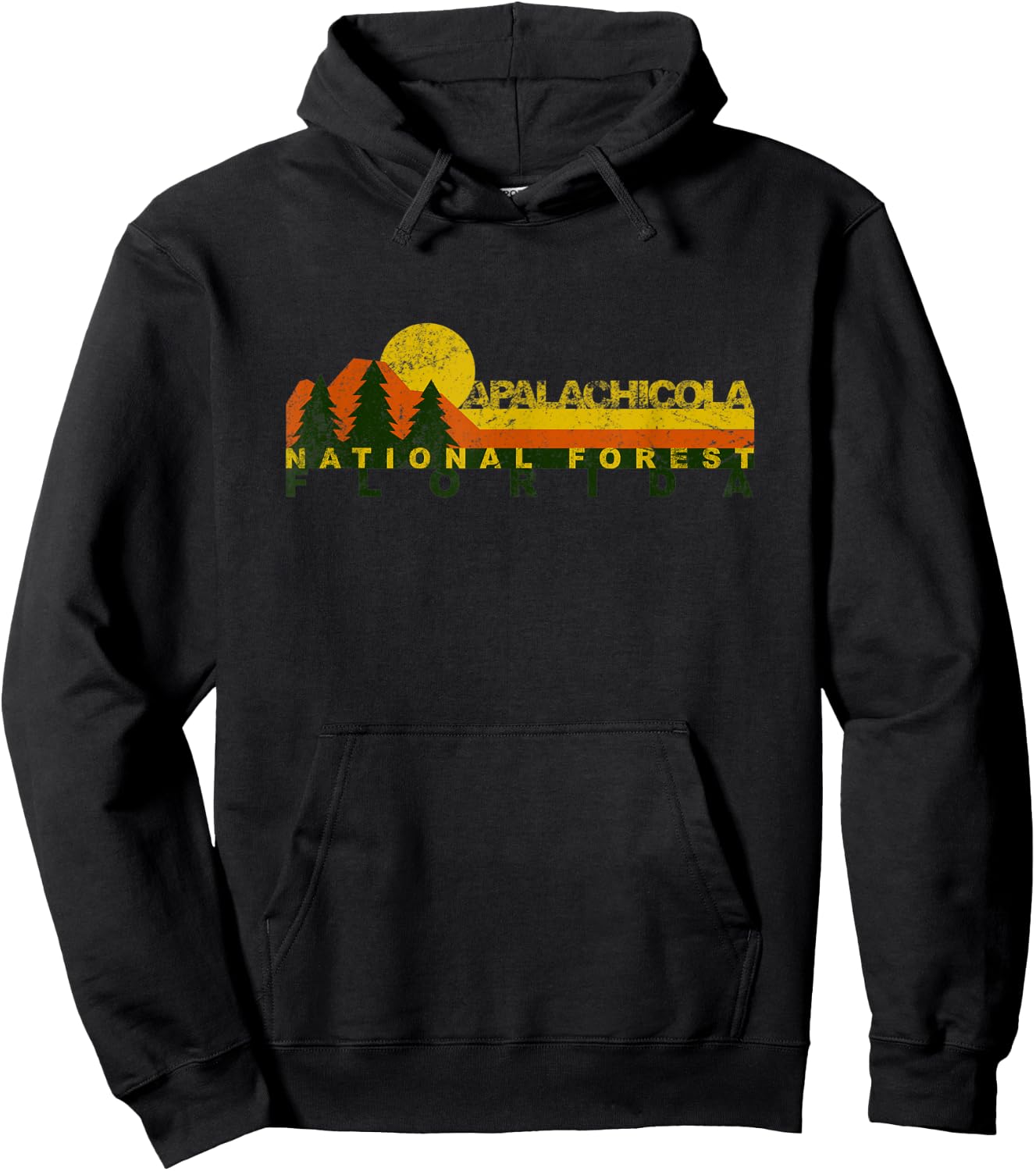 Apalachicola National Forest Retro Hoodie - Hoodie | Black