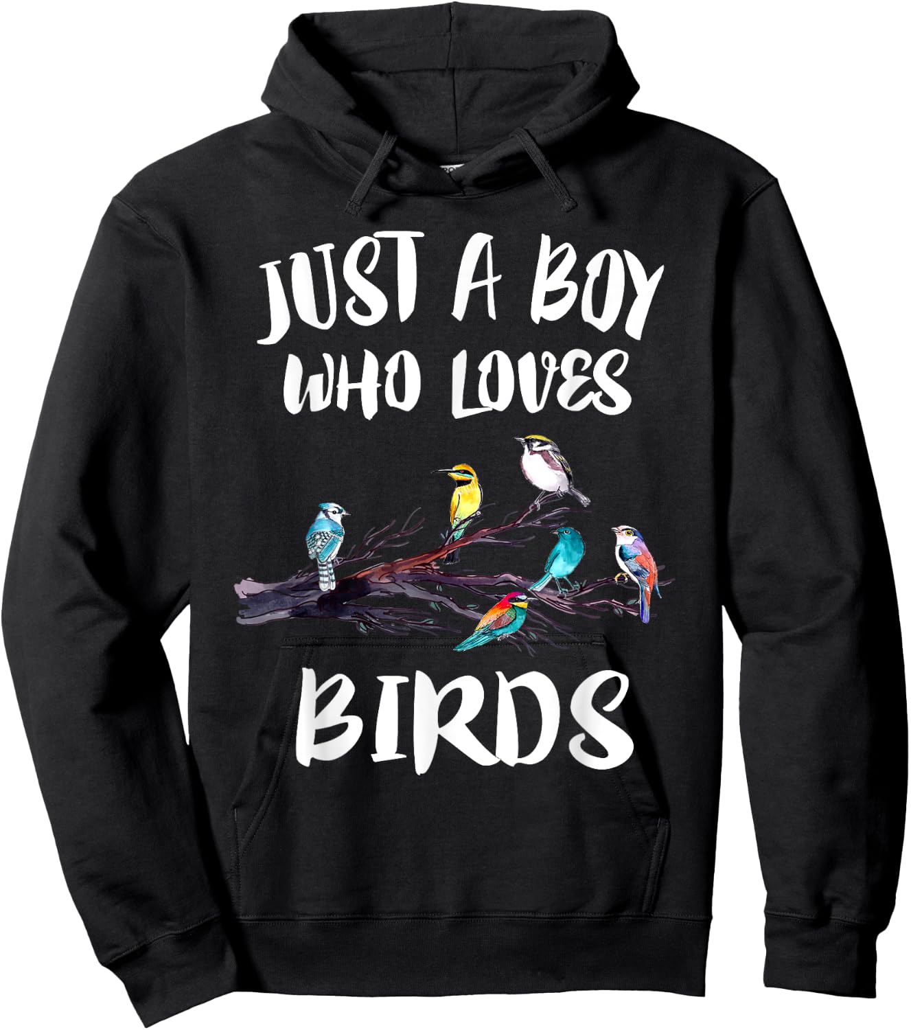 Just A Boy Who Loves Birds Birding Gift Hoodie - Hoodie | Black