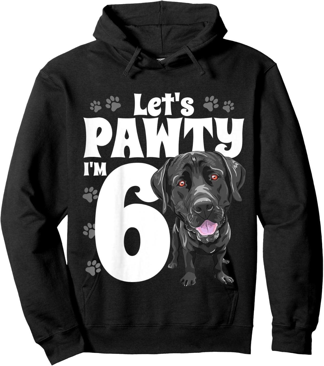 6 Year Old Black Lab Dog Birthday Pawty Labrador 6th Gift Kids Hoodie - Hoodie | Black