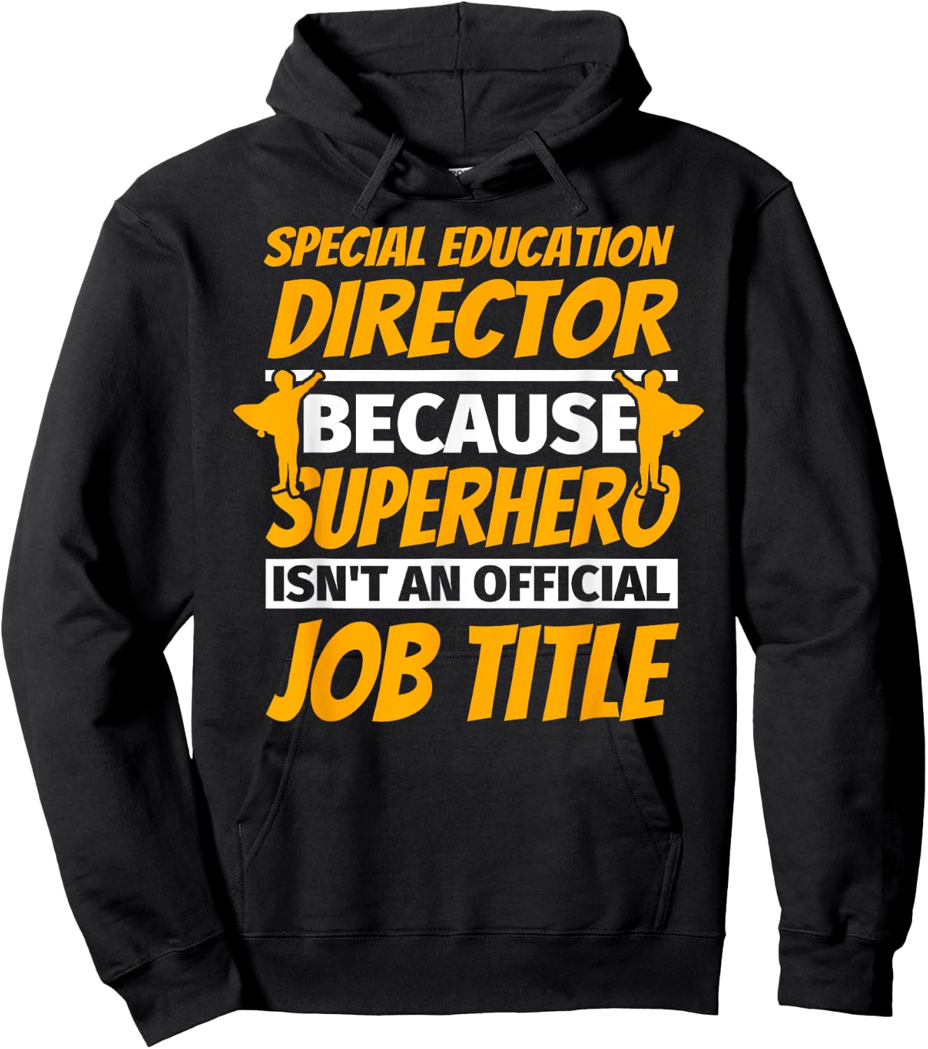 SPECIAL EDUCATION DIRECTOR Funny Humor Gift Hoodie - Hoodie | Black