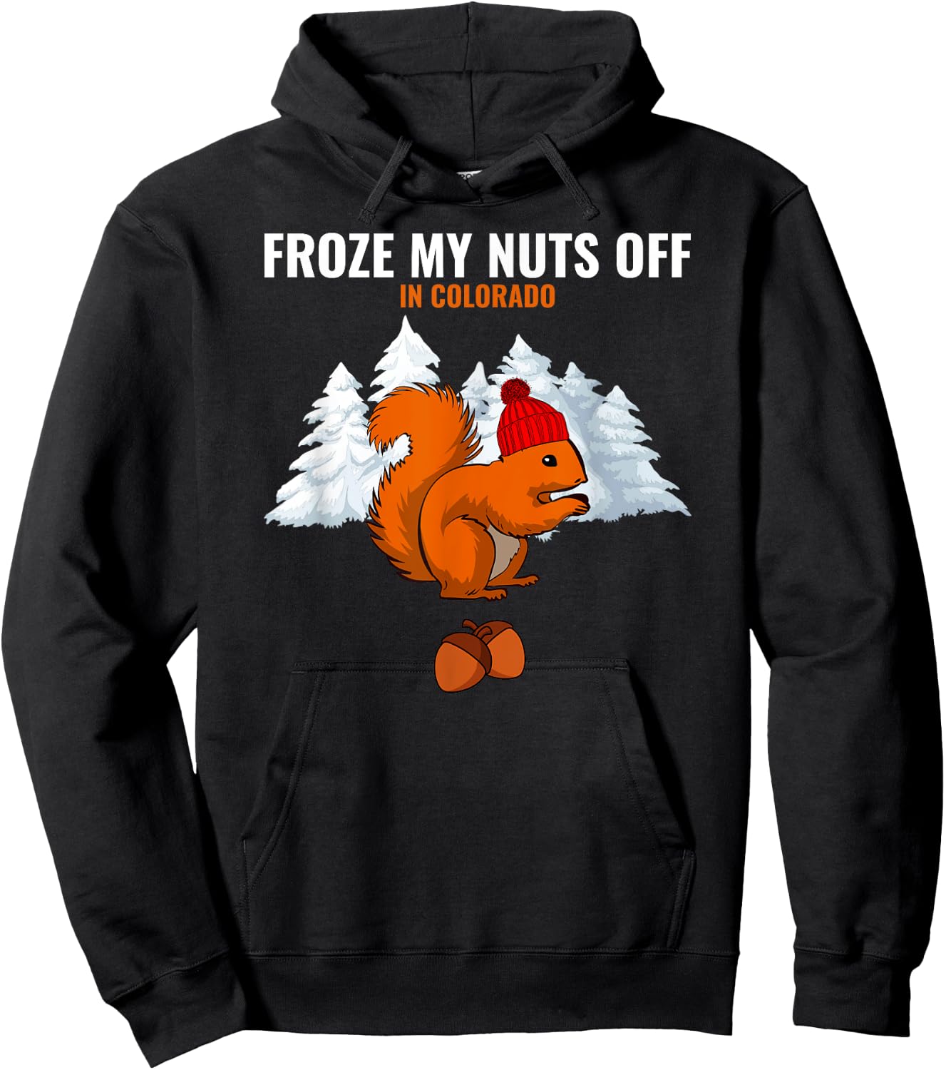 Froze My Nuts Off In Colorado Funny Squirrel Tourist Hoodie - Hoodie | Black