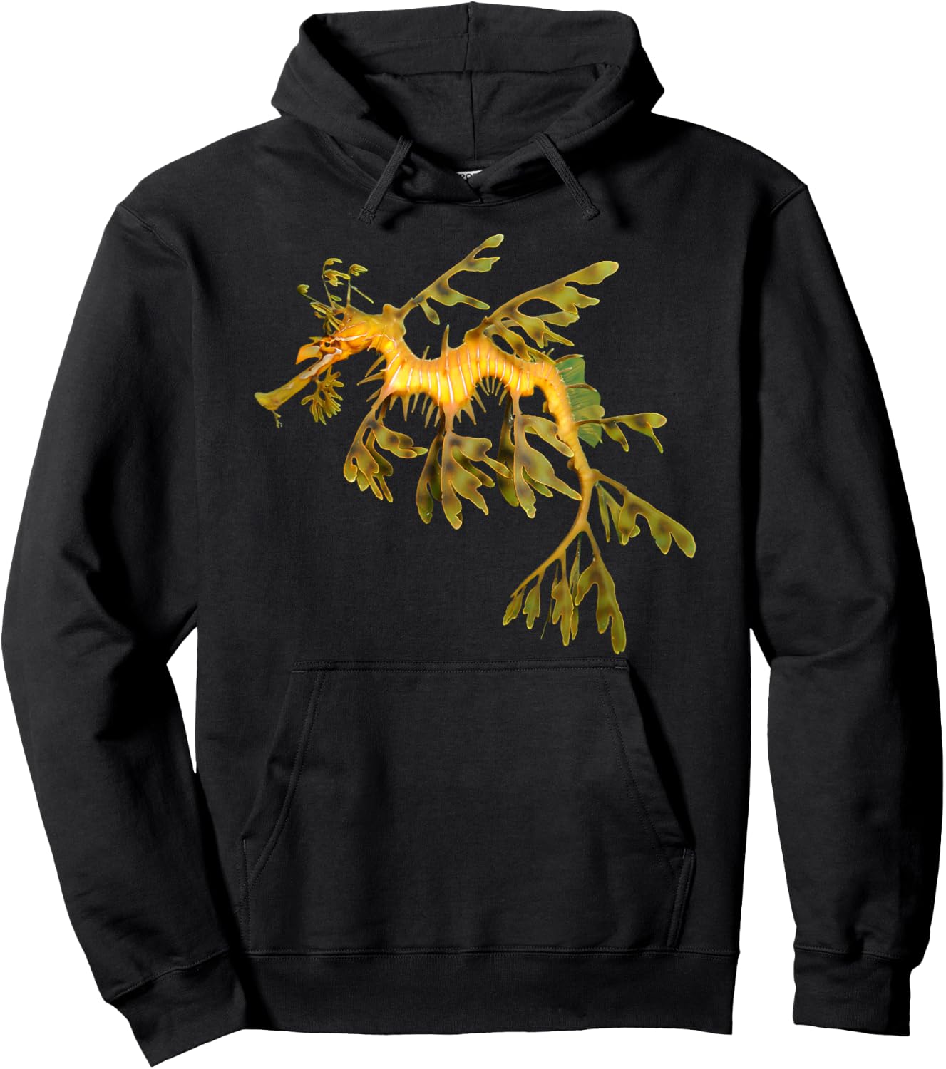 Leafy Seadragon Marine Animal Ocean Lover Seahorse Hoodie - Hoodie | Black