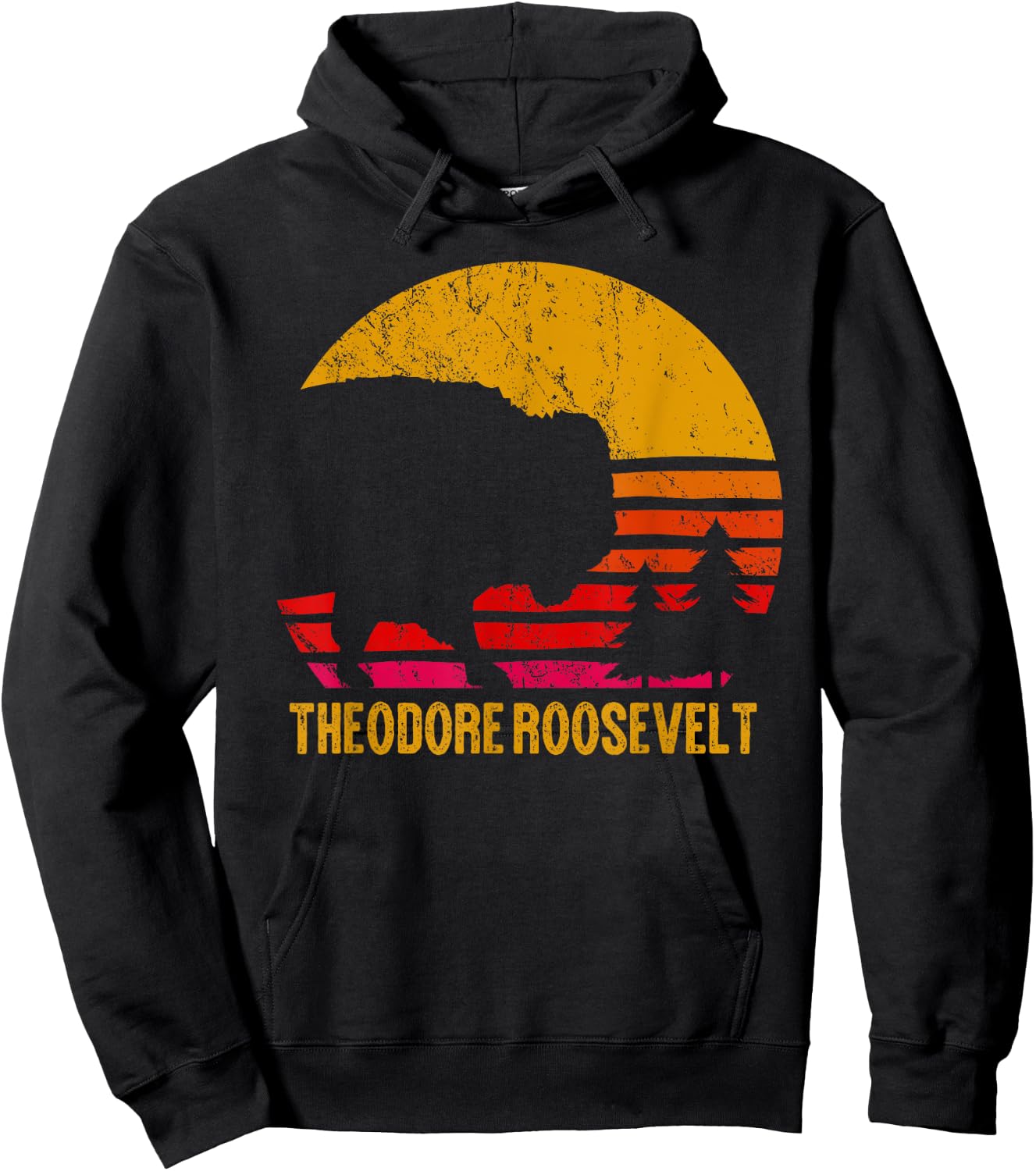 Theodore Roosevelt National Park Vintage Buffalo Bison Gift Hoodie - Hoodie | Black