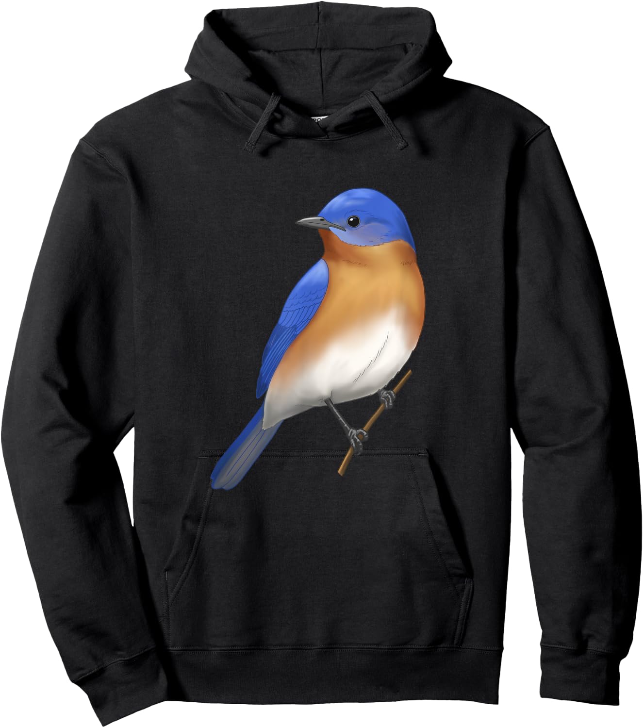 Eastern Bluebird Bird Lover Gift Hoodie - Hoodie | Black