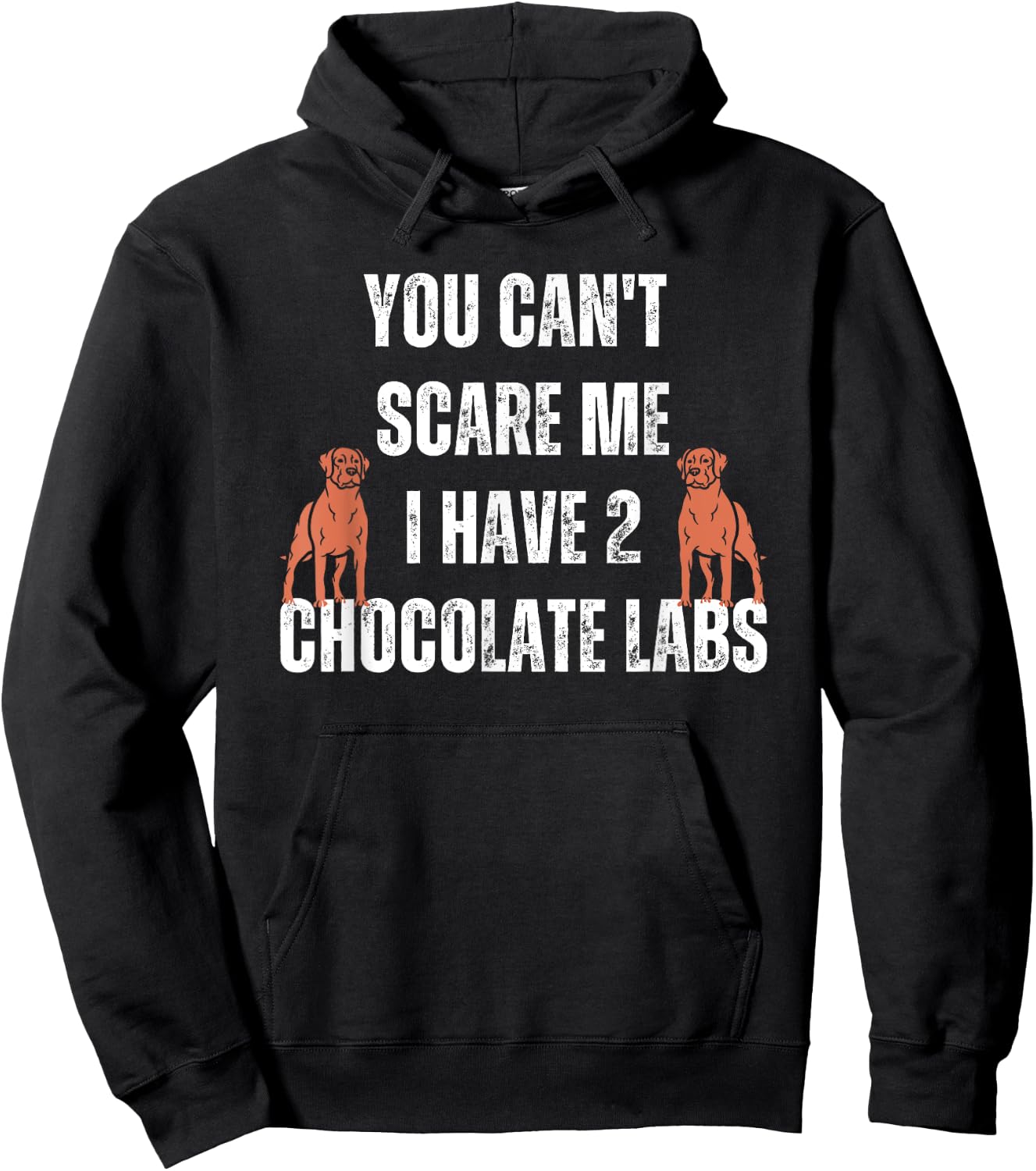 Chocolate Lab Funny Halloween Dog Costume Labrador Scare Me Women Kids Hoodie - Hoodie | Black