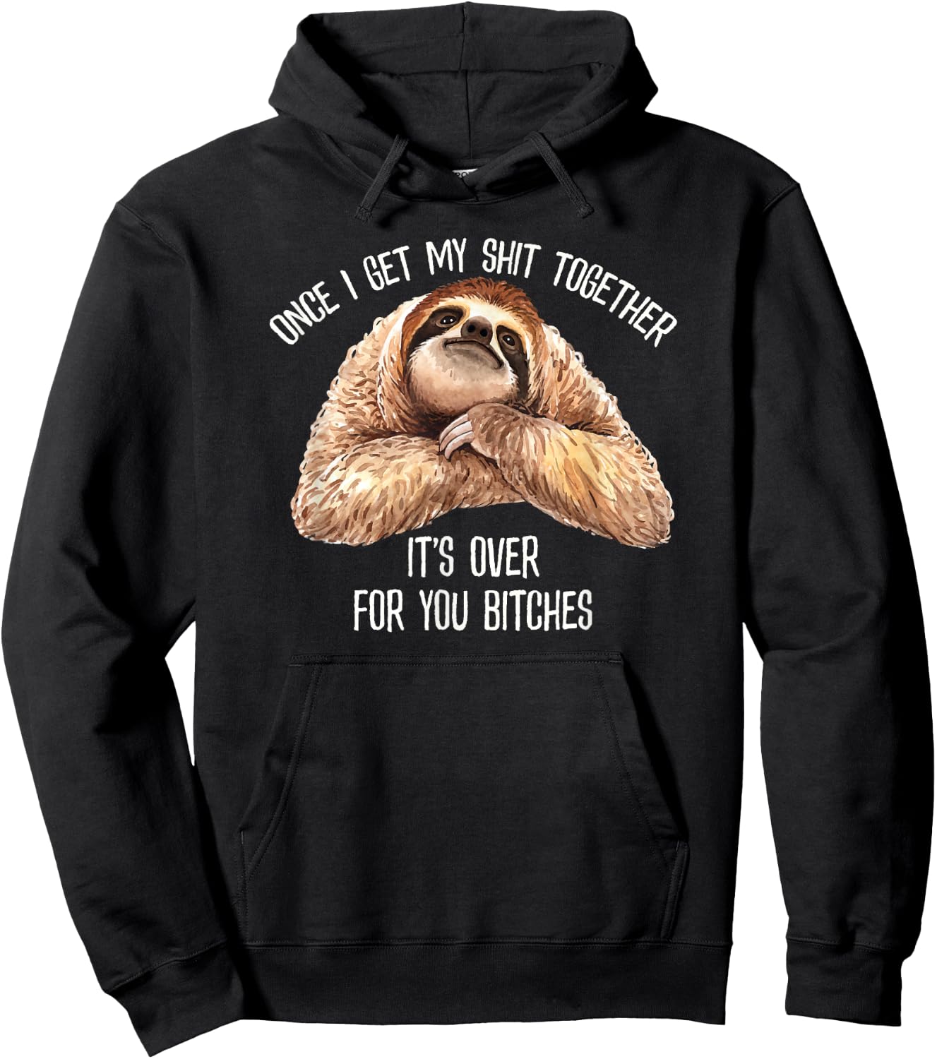 Get My Shit Together It's Over For You Bitches Funny Sloth Hoodie - Hoodie | Black