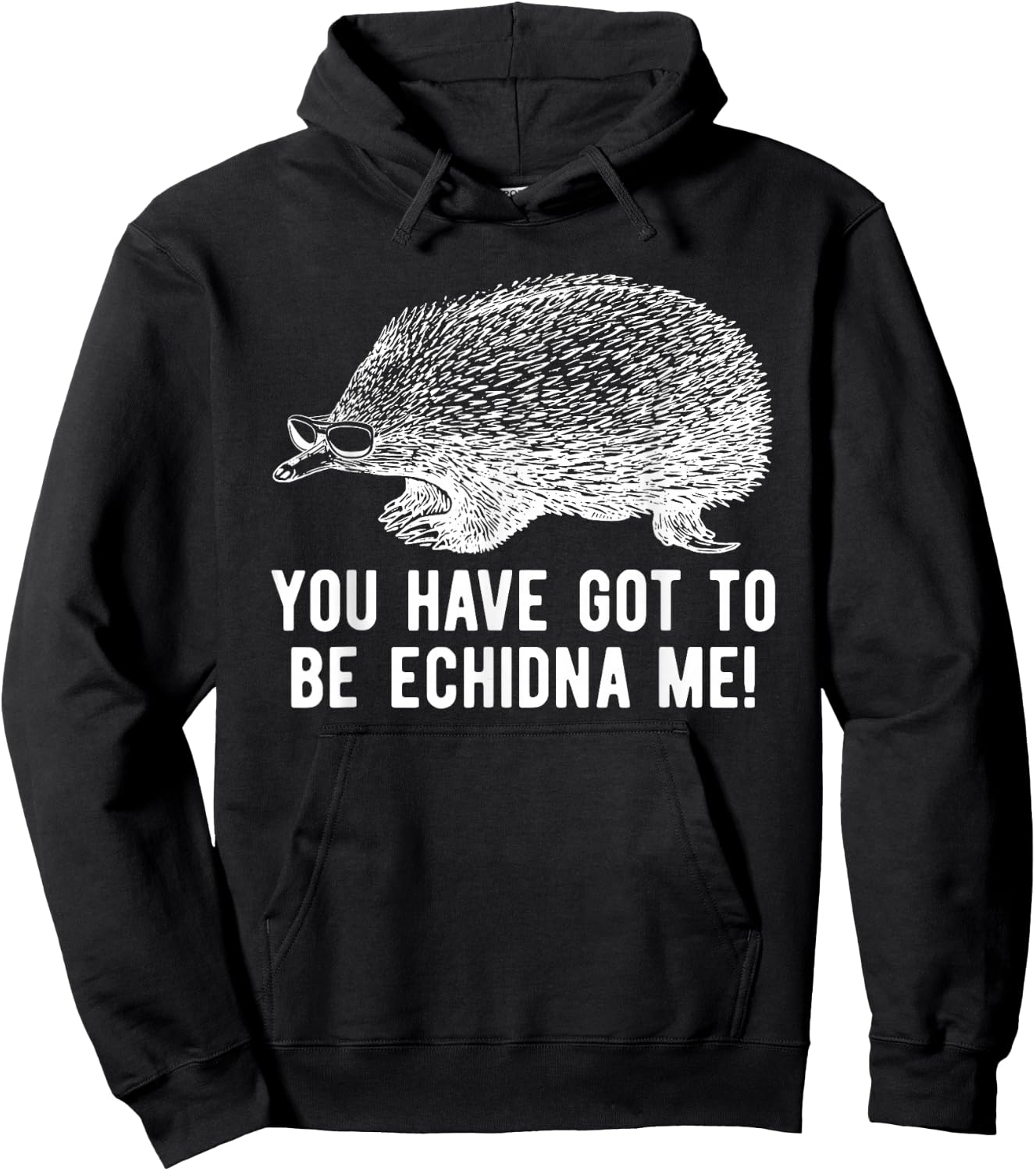 Funny Echidna With Sunglasses Spiny Mammal Pun Hoodie - Hoodie | Black
