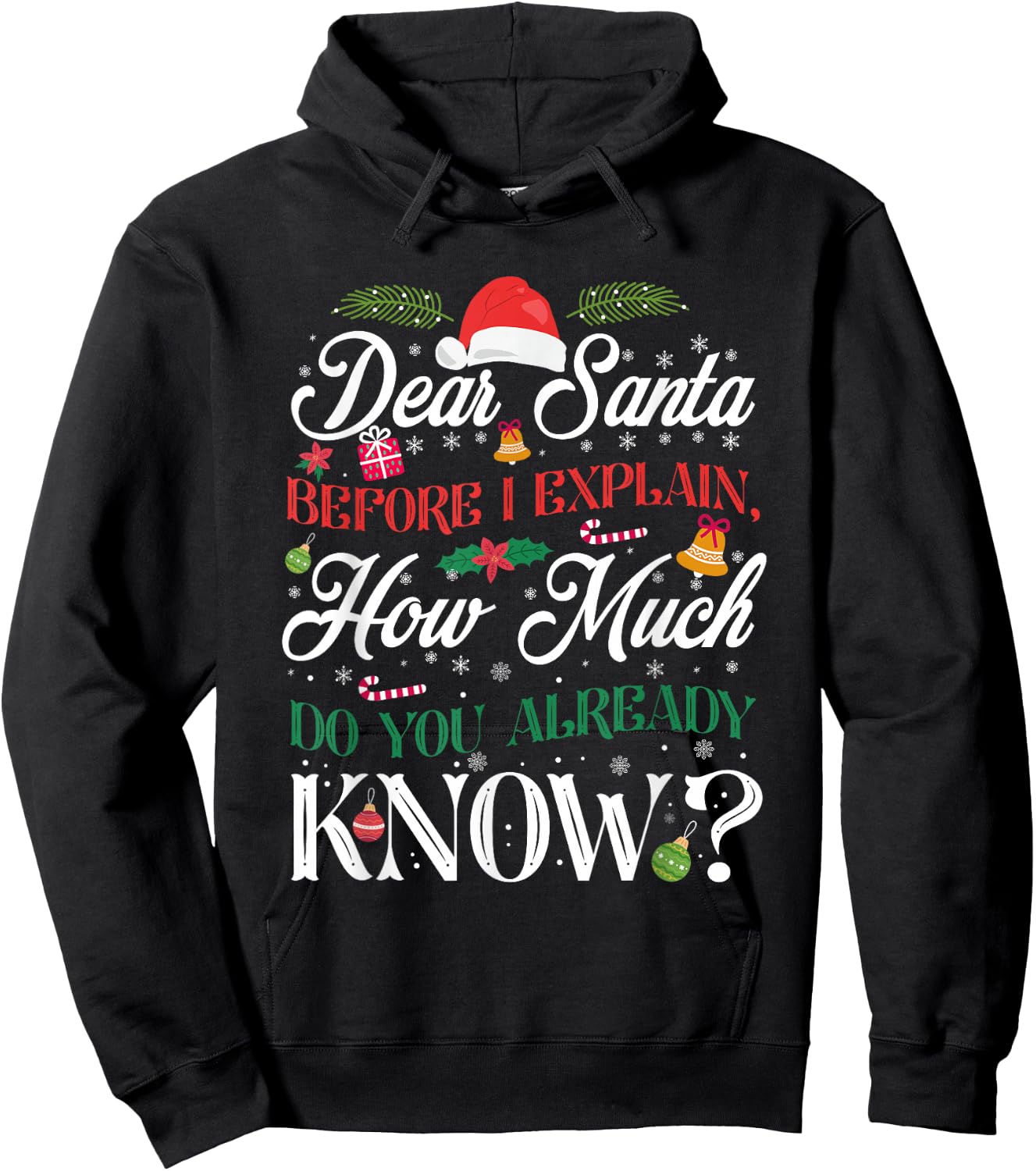 Funny Christmas Dear Santa How Much Do You Know Hoodie - Hoodie | Black