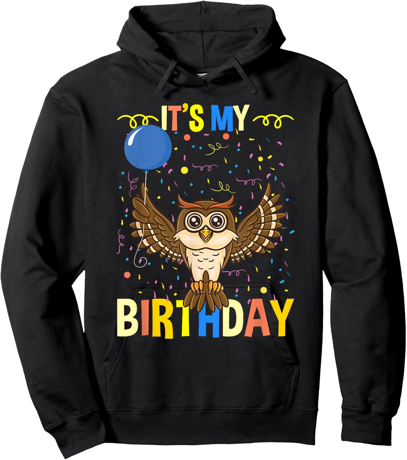 Its My Birthday Owl Bird Hoodie - Hoodie | Black