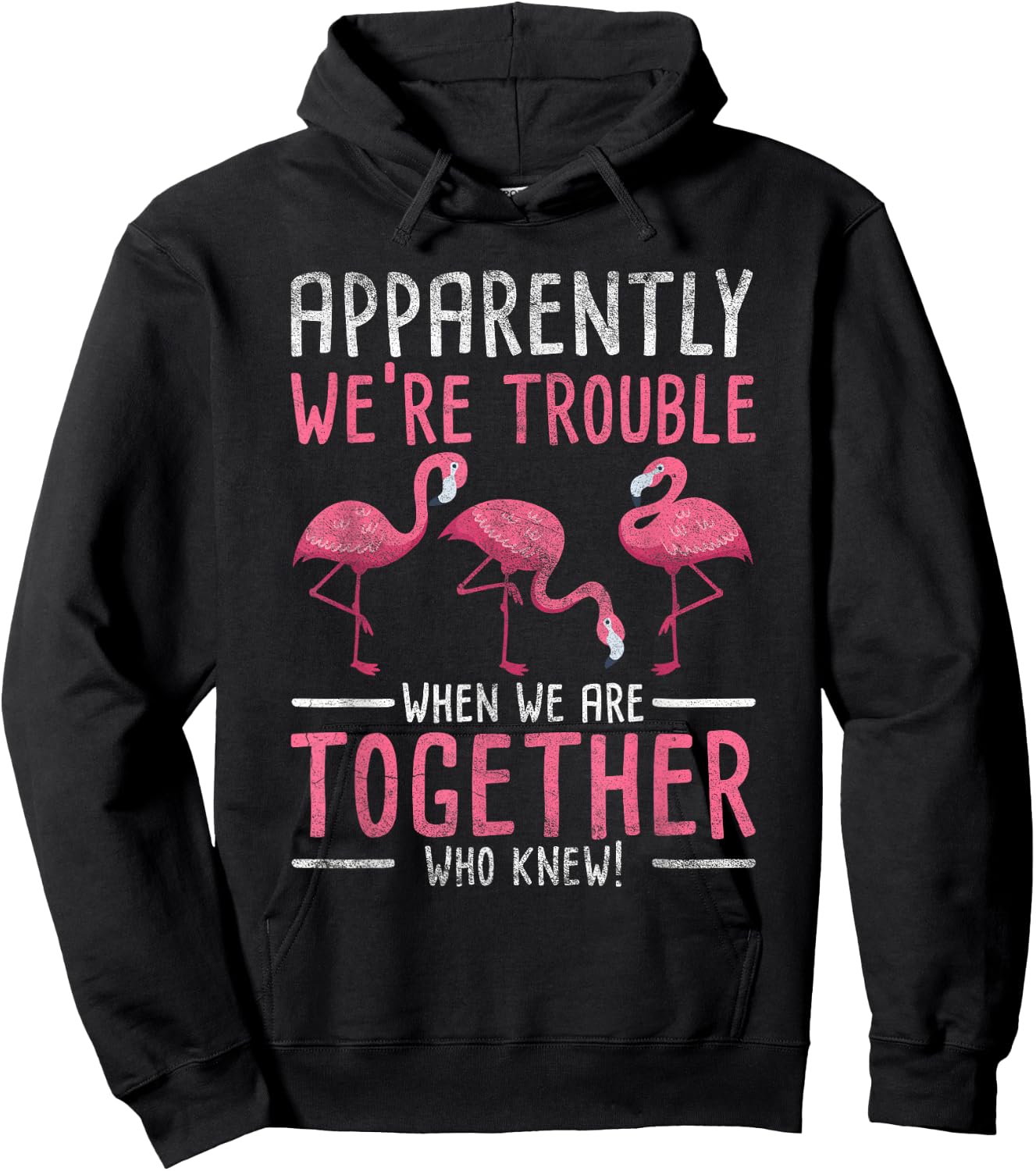 Apparently We Are Trouble Flamingo Hoodie - Hoodie | Black