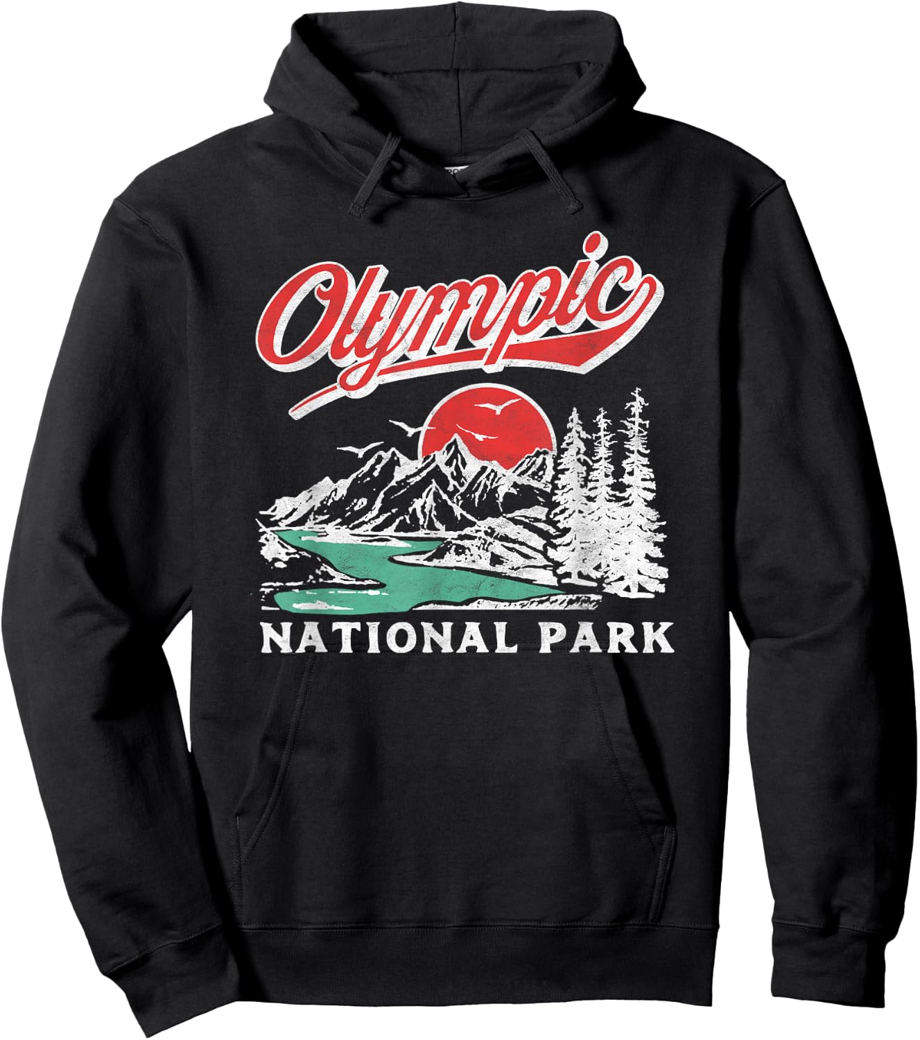 Olympic National Park Retro 80s Mountains Graphic Hoodie - Hoodie | Black