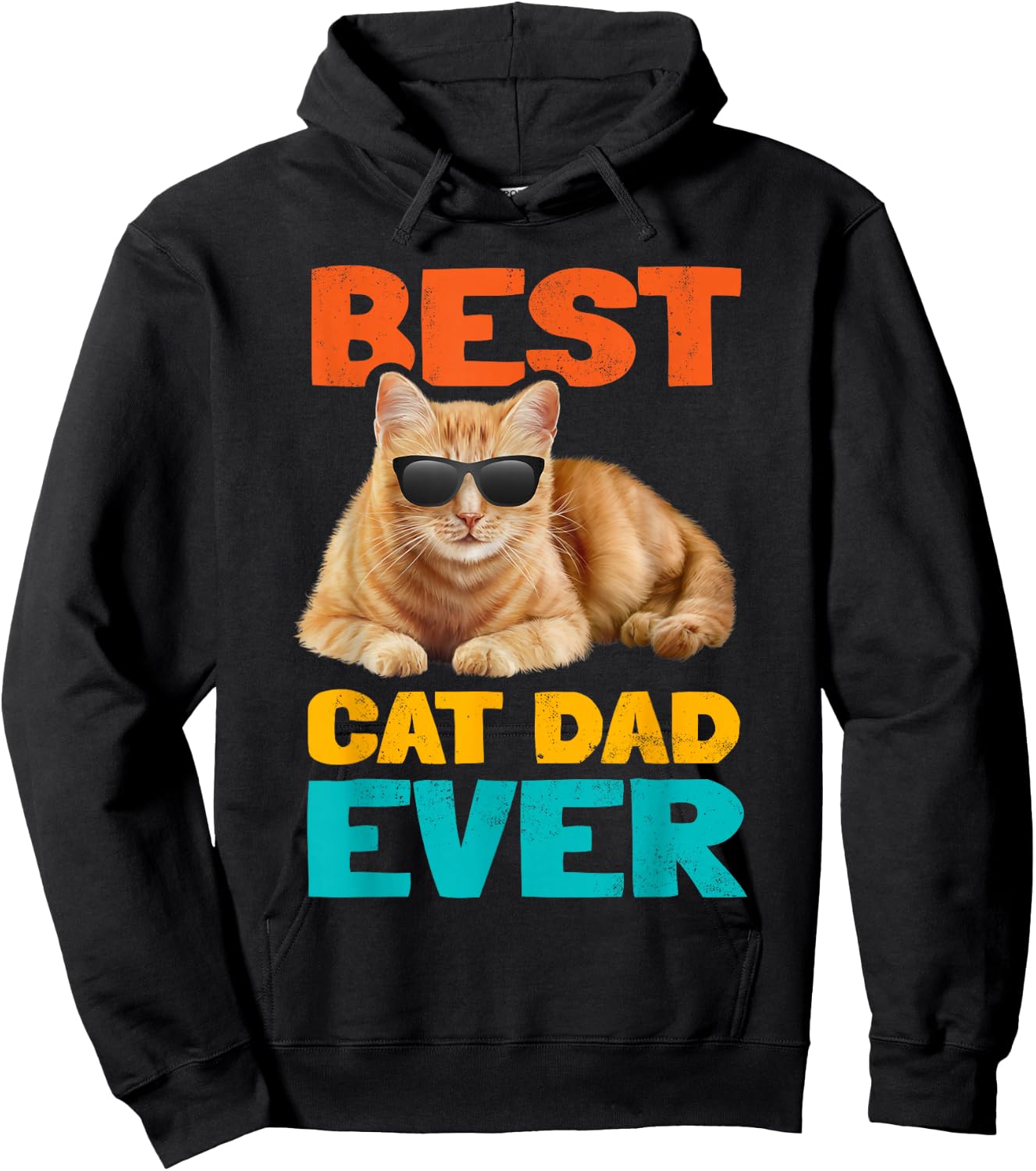 Best Cat Dad Ever Funny Cat Owner Tabby Birthday Fathers Day Hoodie - Hoodie | Black