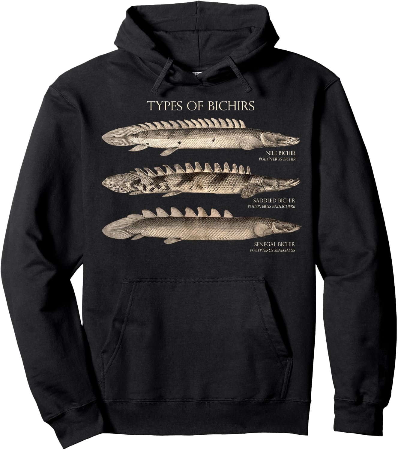 Bichir Types Aquarium Fish Monster Fish Keeper Aquarist Hoodie - Hoodie | Black