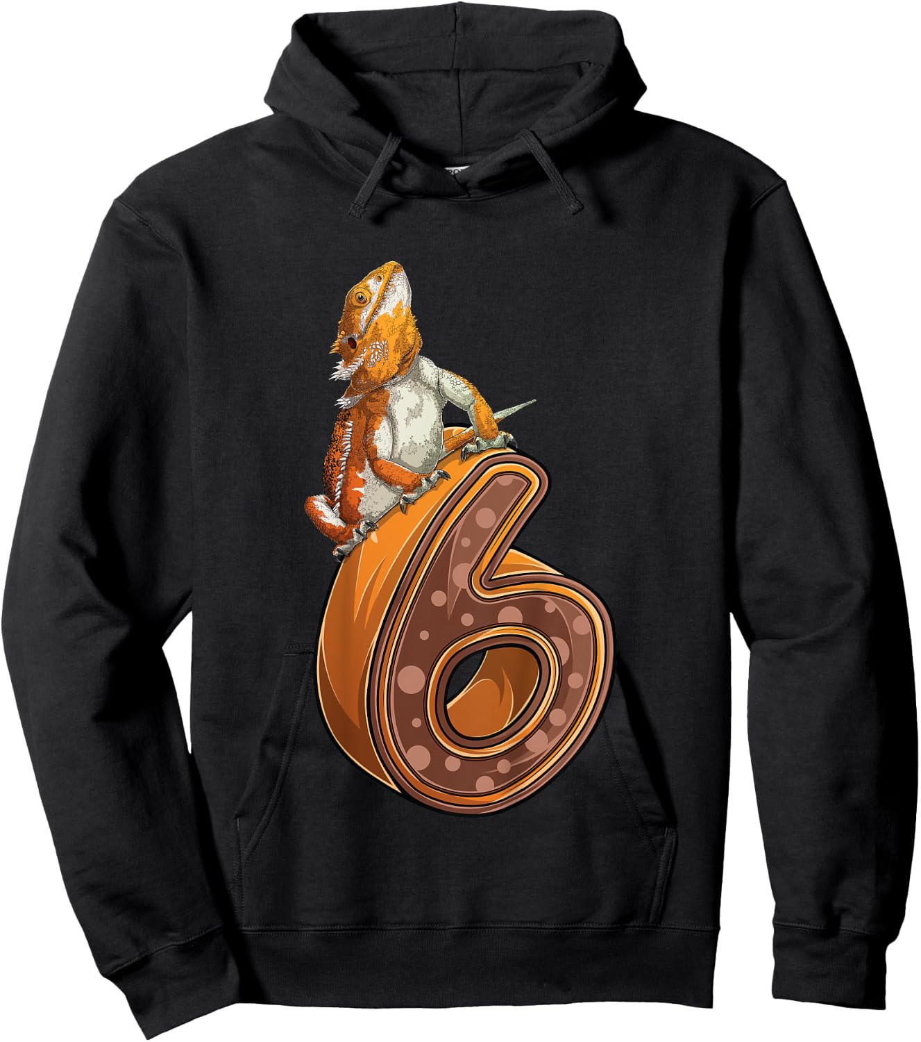 6 Year Old Bearded dragon Reptile 6th Birthday Party B-day Hoodie - Hoodie | Black