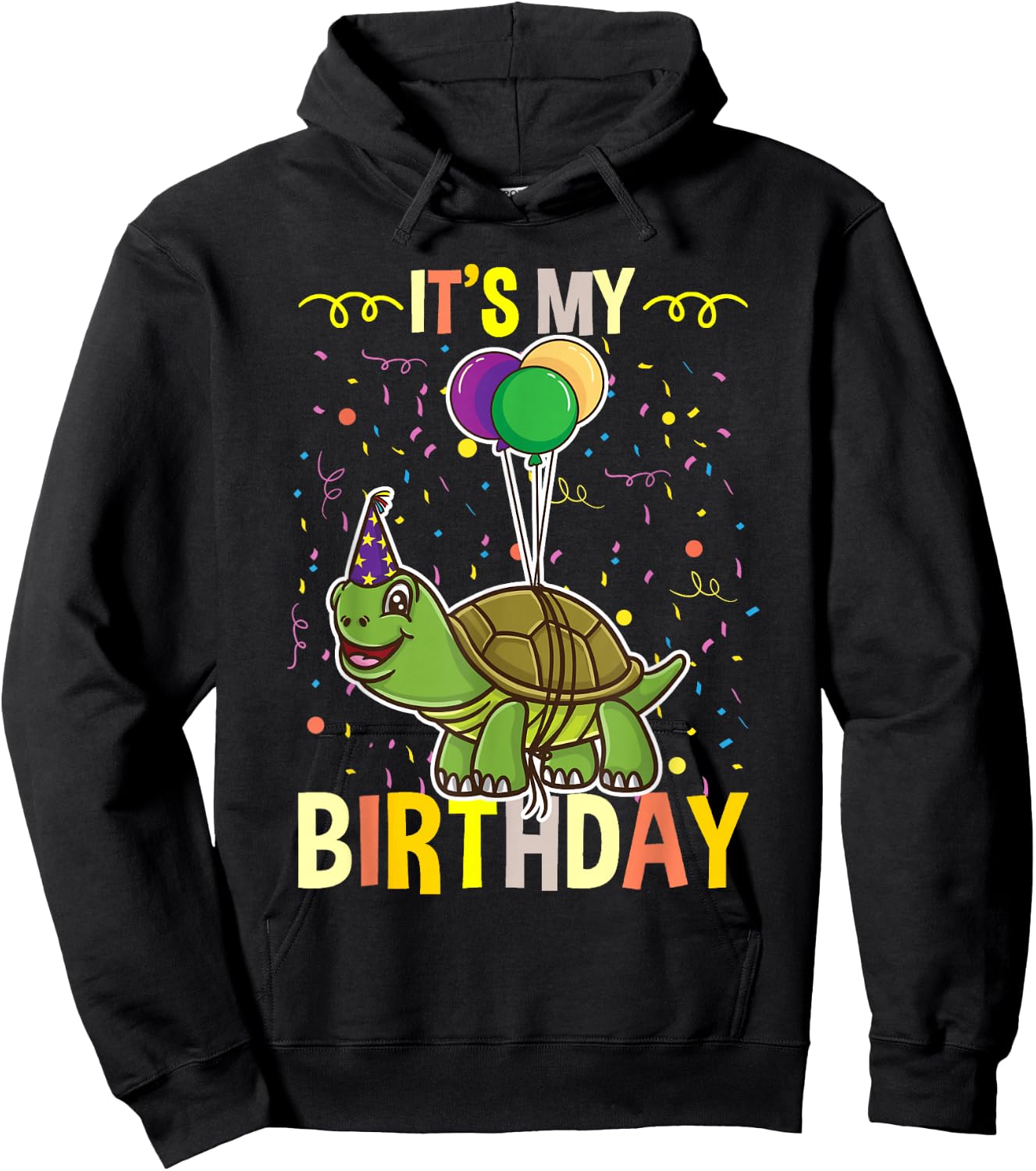 Its My Birthday Turtle Hoodie - Hoodie | Black