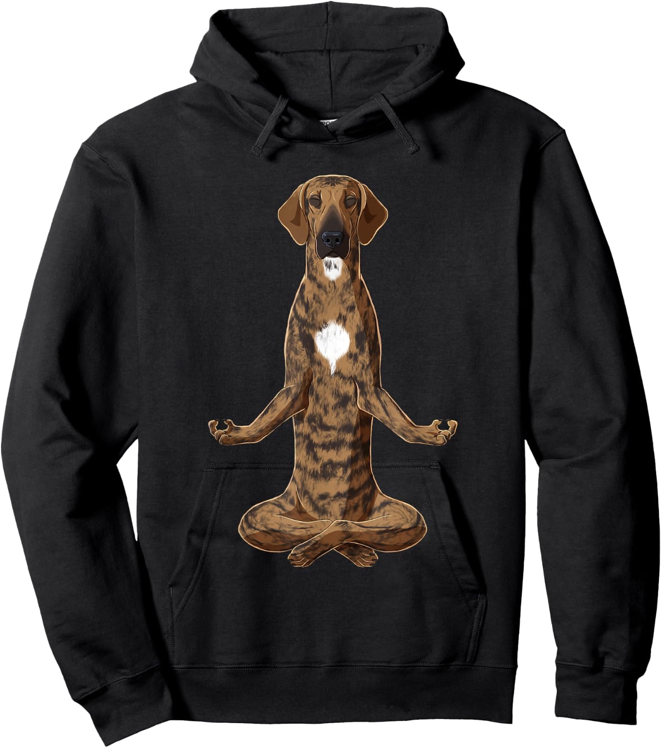 Funny Yoga Dog Plott Hound Hoodie - Hoodie | Black