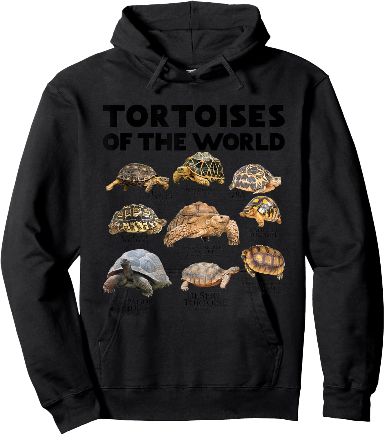 Tortoises of The World Turtles Lover Save The Tortoises Hoodie - Hoodie | Black