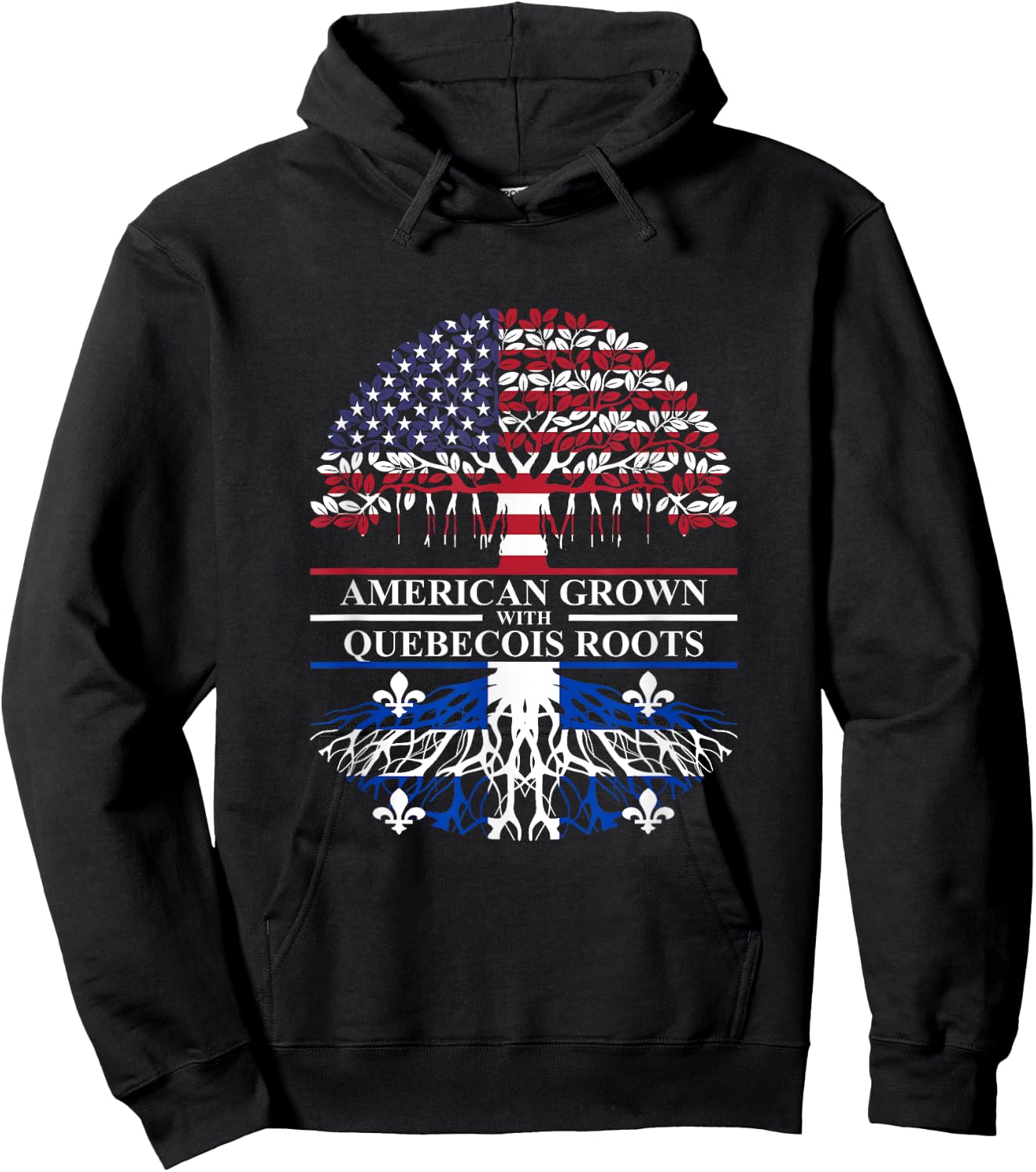 Family Canada Quebec City & Montreal USA Styles American Grown with Quebecois Roots Quebec Canada Ancestry Hoodie - Hoodie | Black