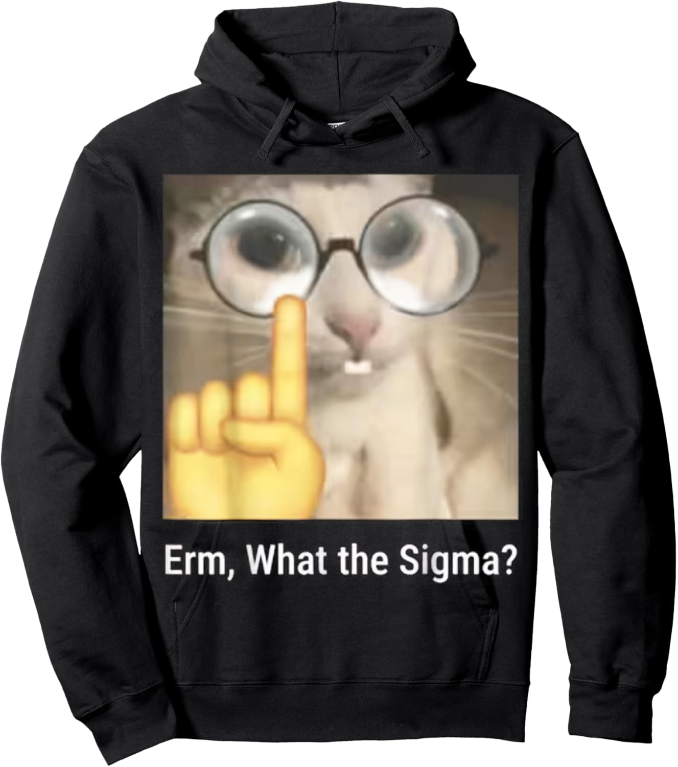 Erm, What The Sigma? Cat Meme Funny Hoodie - Hoodie | Black