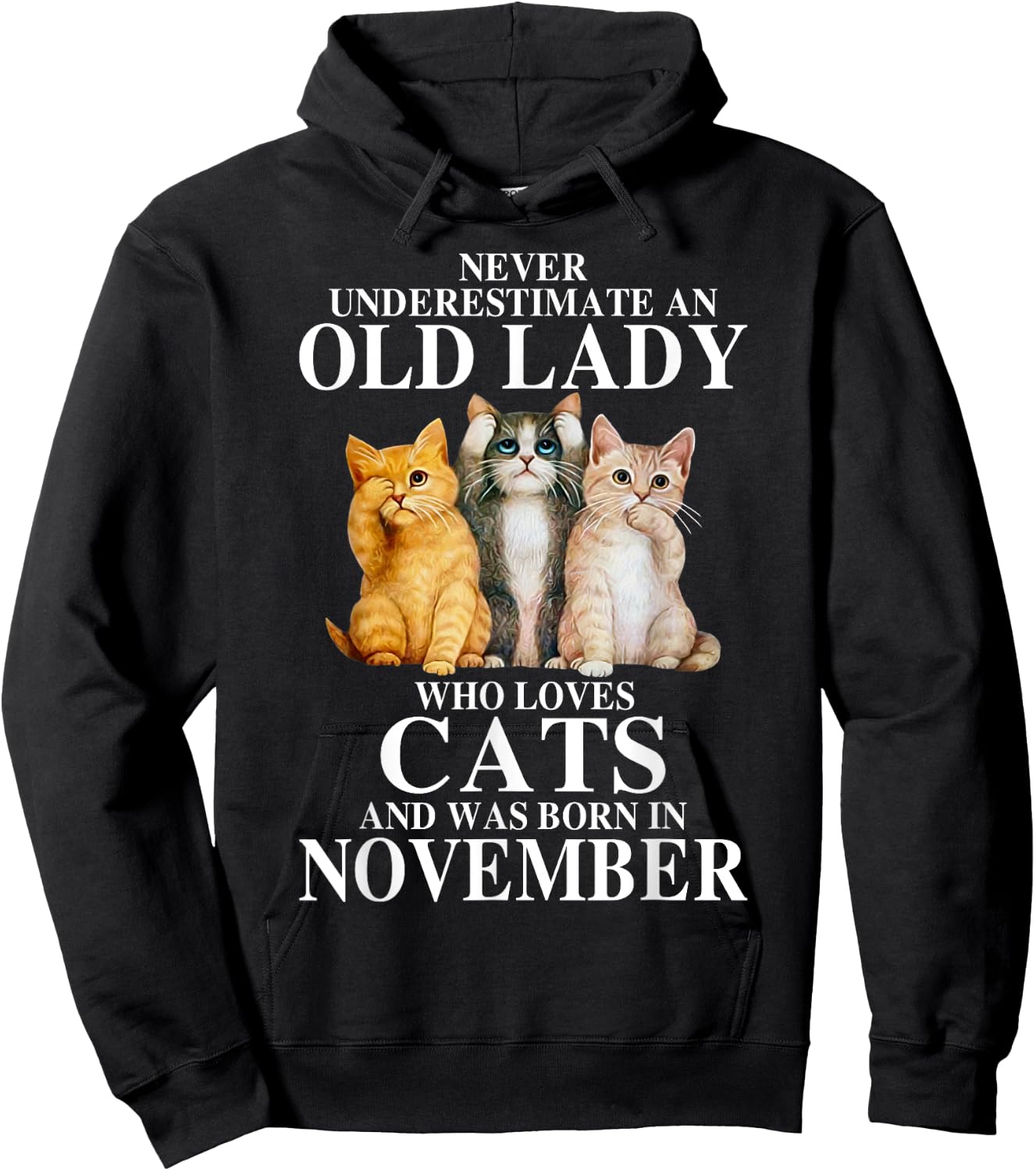 Never underestimate an old lady who loves cats born NOVEMBER Hoodie - Hoodie | Black