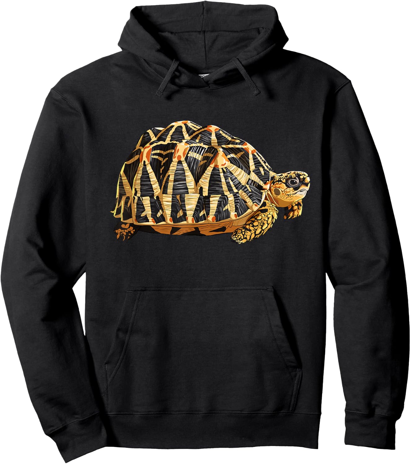 Turtle Indian Star Tortoise Hoodie - Hoodie | Black