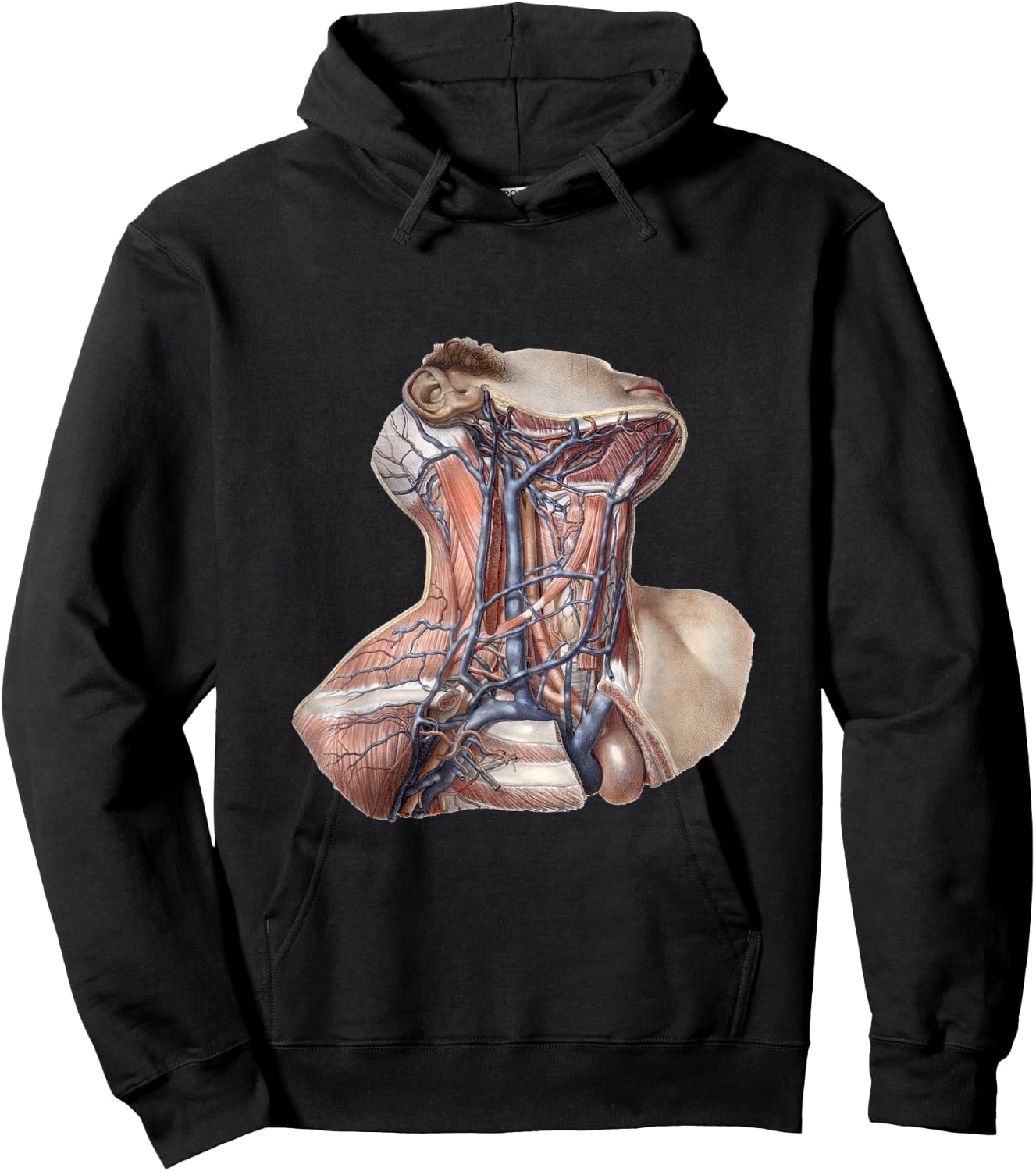 Vintage Human Anatomy Neck and Throat with Veins Hoodie - Hoodie | Black