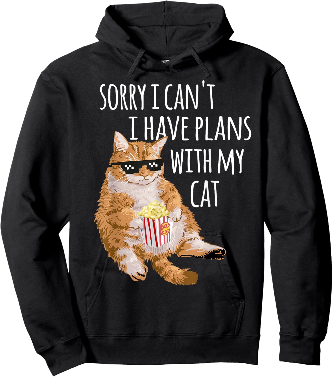 Sorry I Can't I Have Plans With My Cat Funny Cat Lover Gift Hoodie - Hoodie | Black