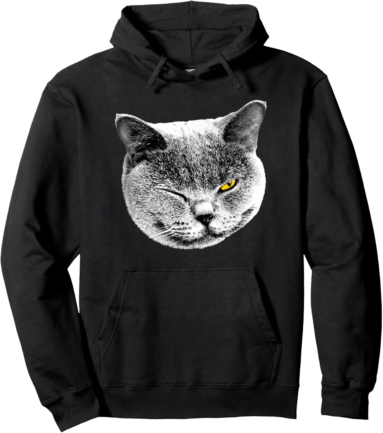 BRITISH BLUE SHORTHAIR CAT - SMILE & WINK Men Women Kids Hoodie - Hoodie | Black