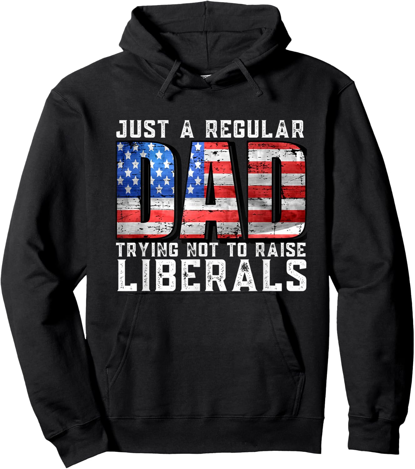 Just a Regular Dad Trying Not To Raise Liberals Hoodie - Hoodie | Black