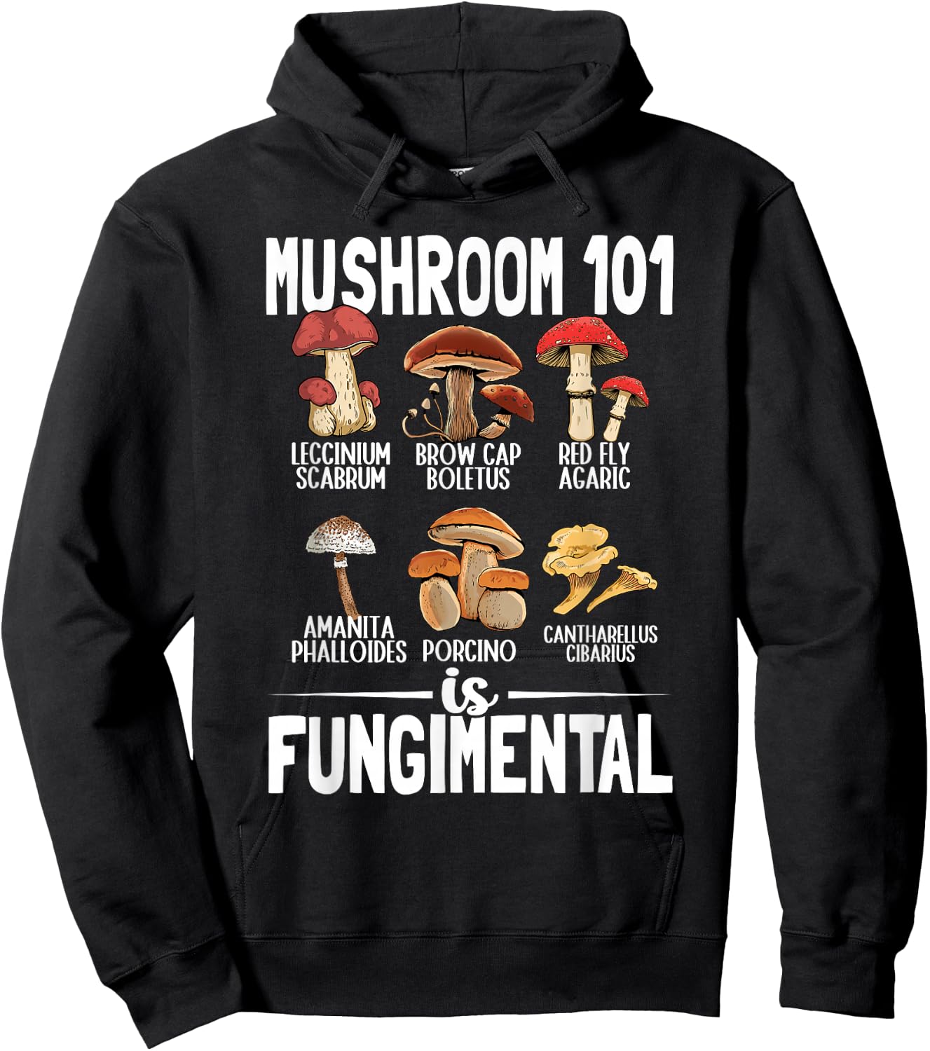 Funny Mushroom 101 is Fungimental Mycologist Mushrooms Hoodie - Hoodie | Black