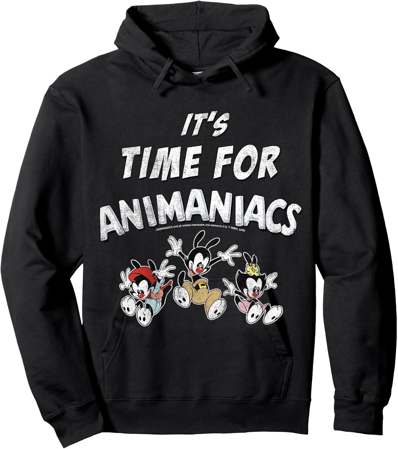 Kids Animaniacs It's Time For Animaniacs Group Shot Hoodie - Hoodie | Black