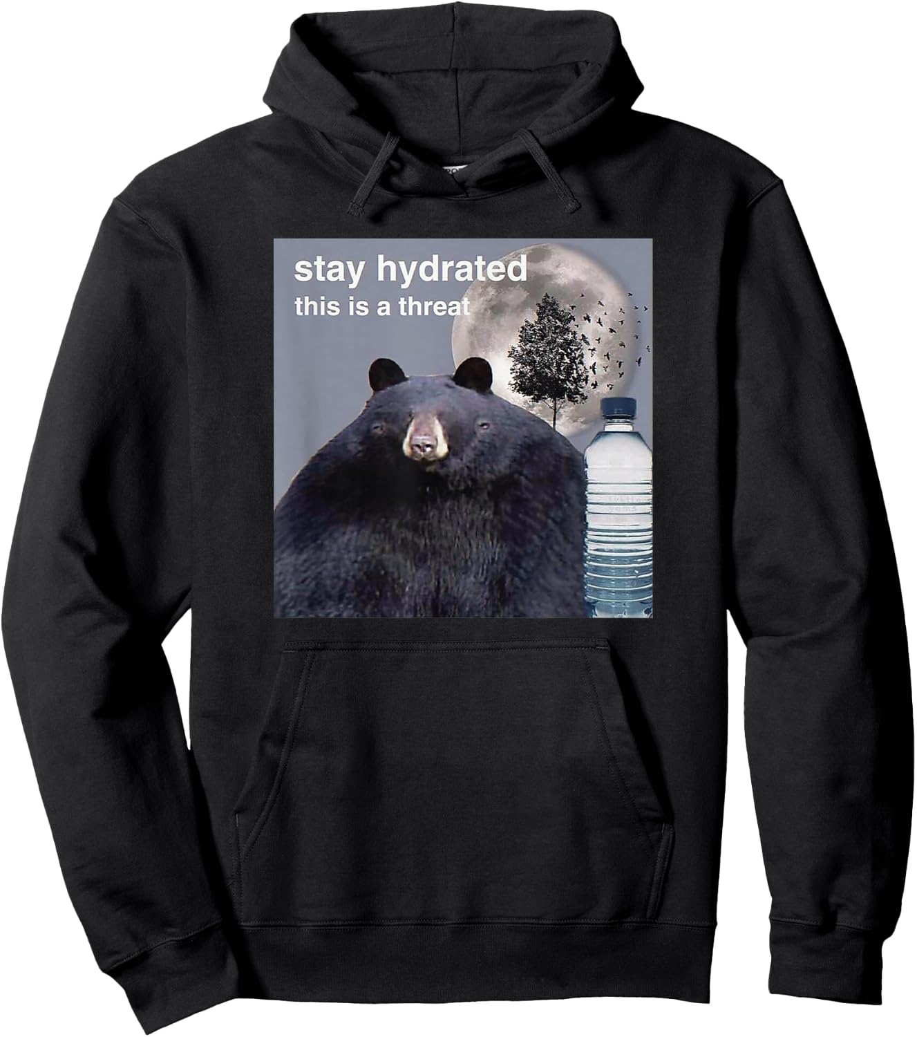 Stay Hydrated This Is A Threat Meme Hoodie - Hoodie | Black