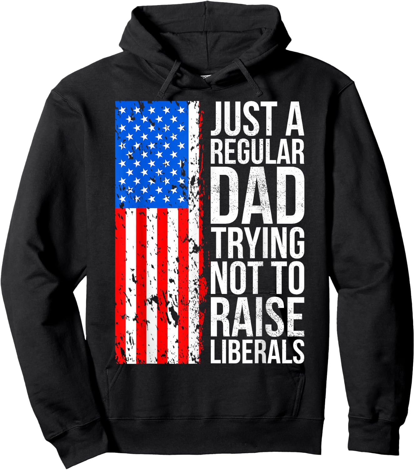 Anti-Liberal Just A Regular Dad Trying Not to Raise Liberals Hoodie - Hoodie | Black
