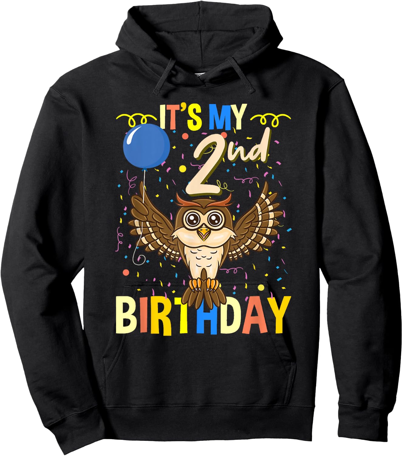 Its My 2nd Birthday Owl Bird Hoodie - Hoodie | Black