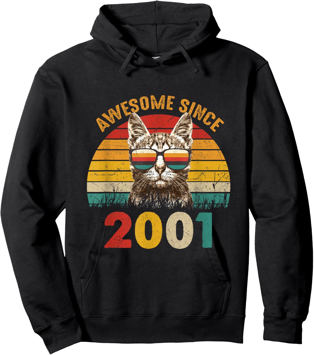24th Birthday Vintage Cat Lover Gift Awesome Since 2001 Women Hoodie - Hoodie | Black