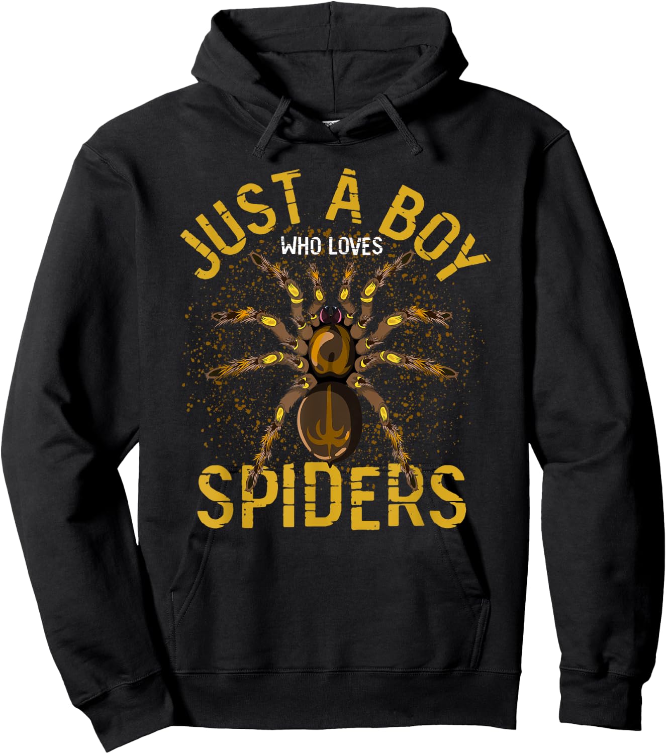 Arachnid Men Boys Gift Just A Boy Who Loves Spiders Hoodie - Hoodie | Black