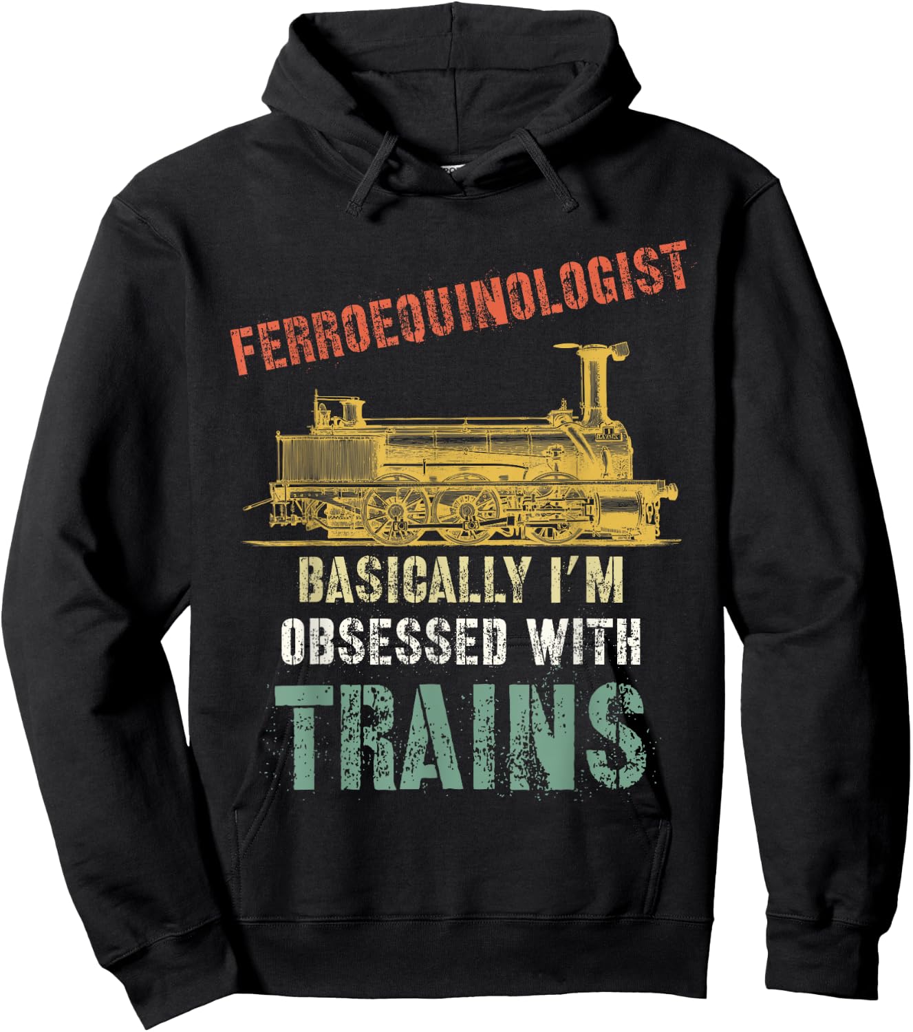 Ferroequinologist Trains Model Train Enthusiasts Hoodie - Hoodie | Black
