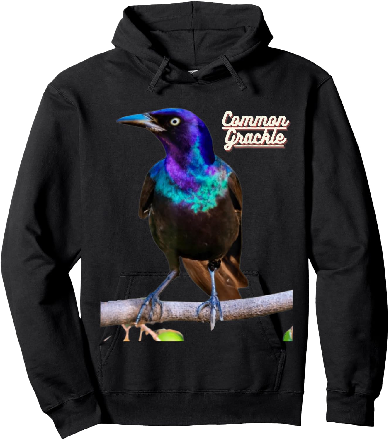 Common Grackle Bird Watchers Bird Lovers Hoodie - Hoodie | Black