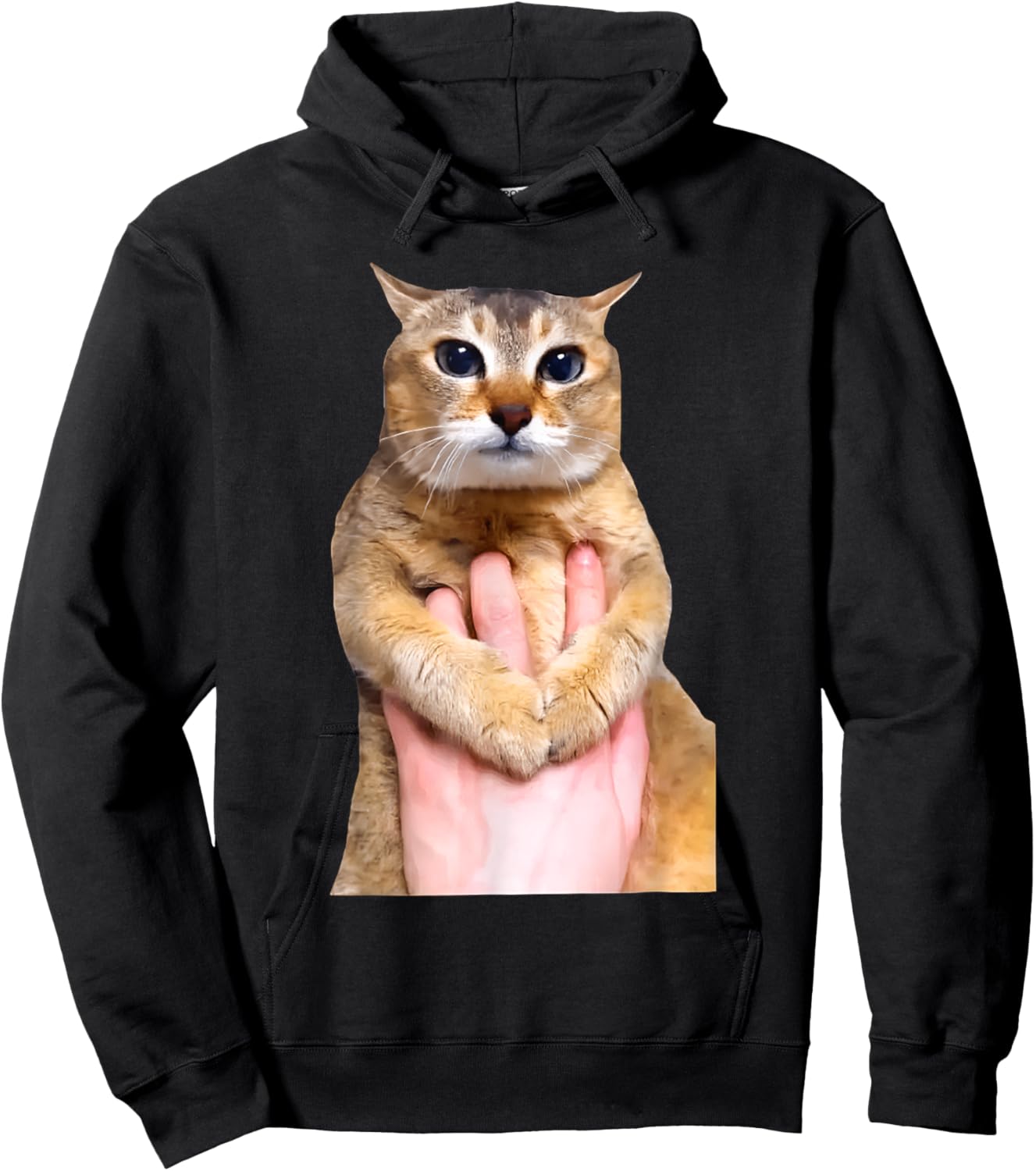 Tole Tole Cat Men Women Girls Kids Hoodie - Hoodie | Black